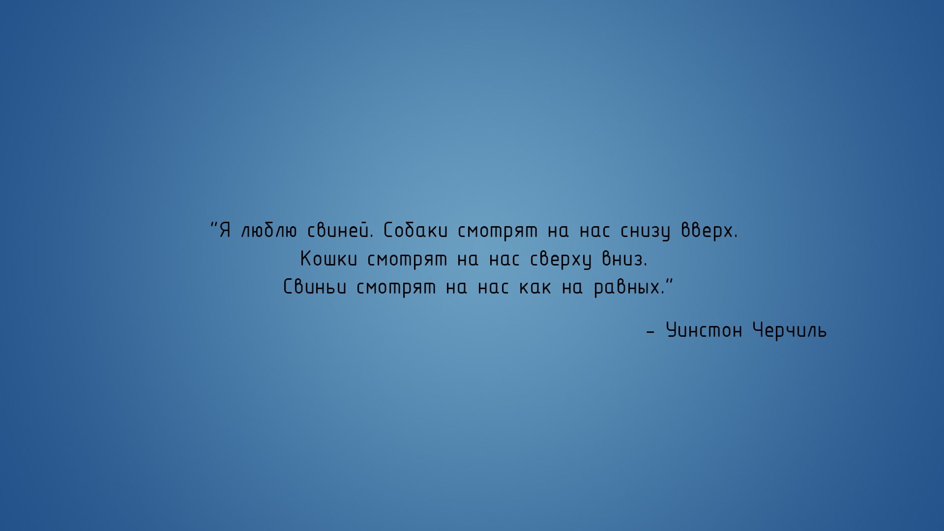 Russian, 1080P, writing, text, HD Wallpaper