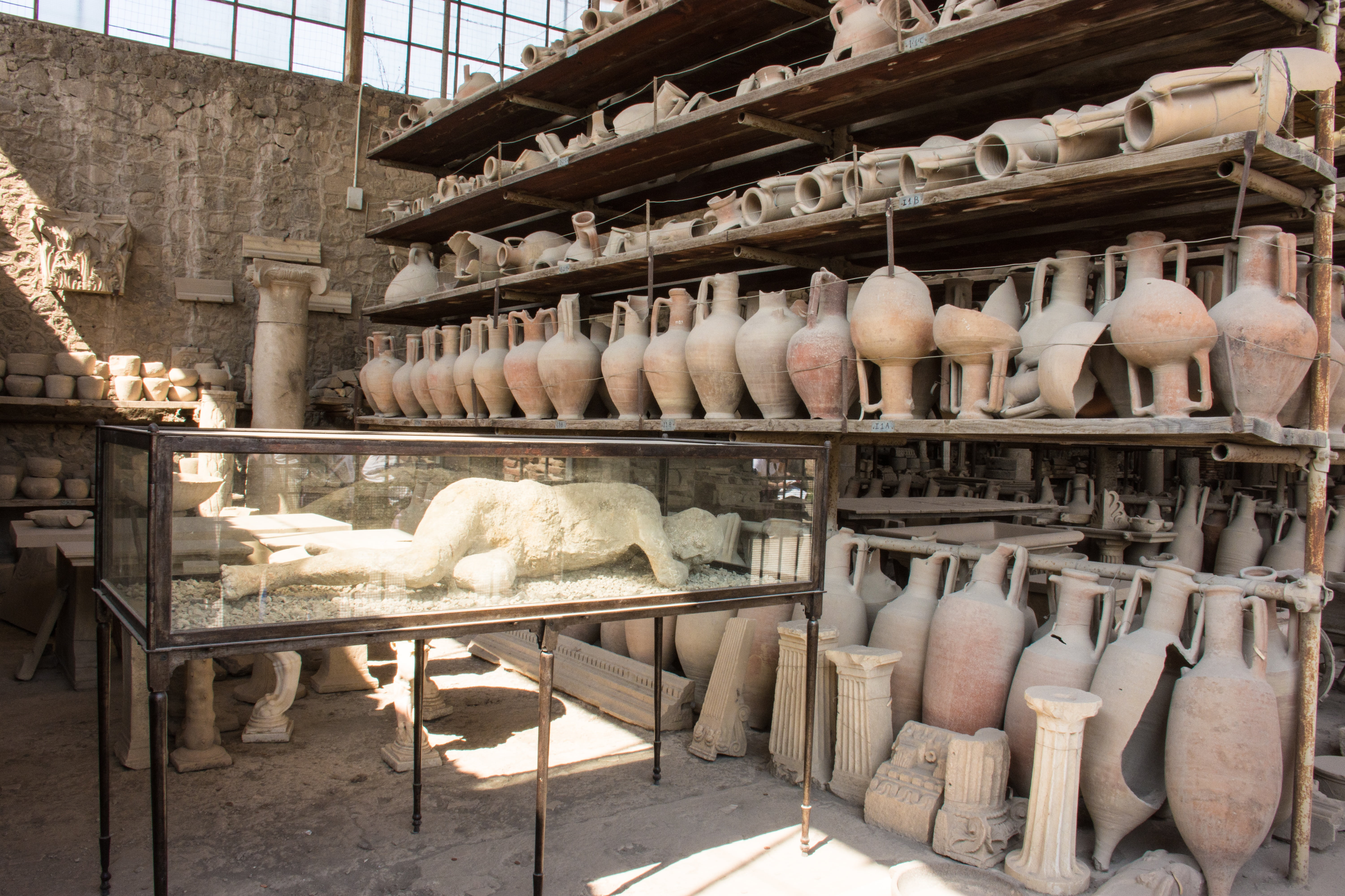 roman, died, small business, volcanic eruption, history, shelf, pottery, plaster casts, indoors, arrangement, human, abundance, world heritage, excavation, HD Wallpaper