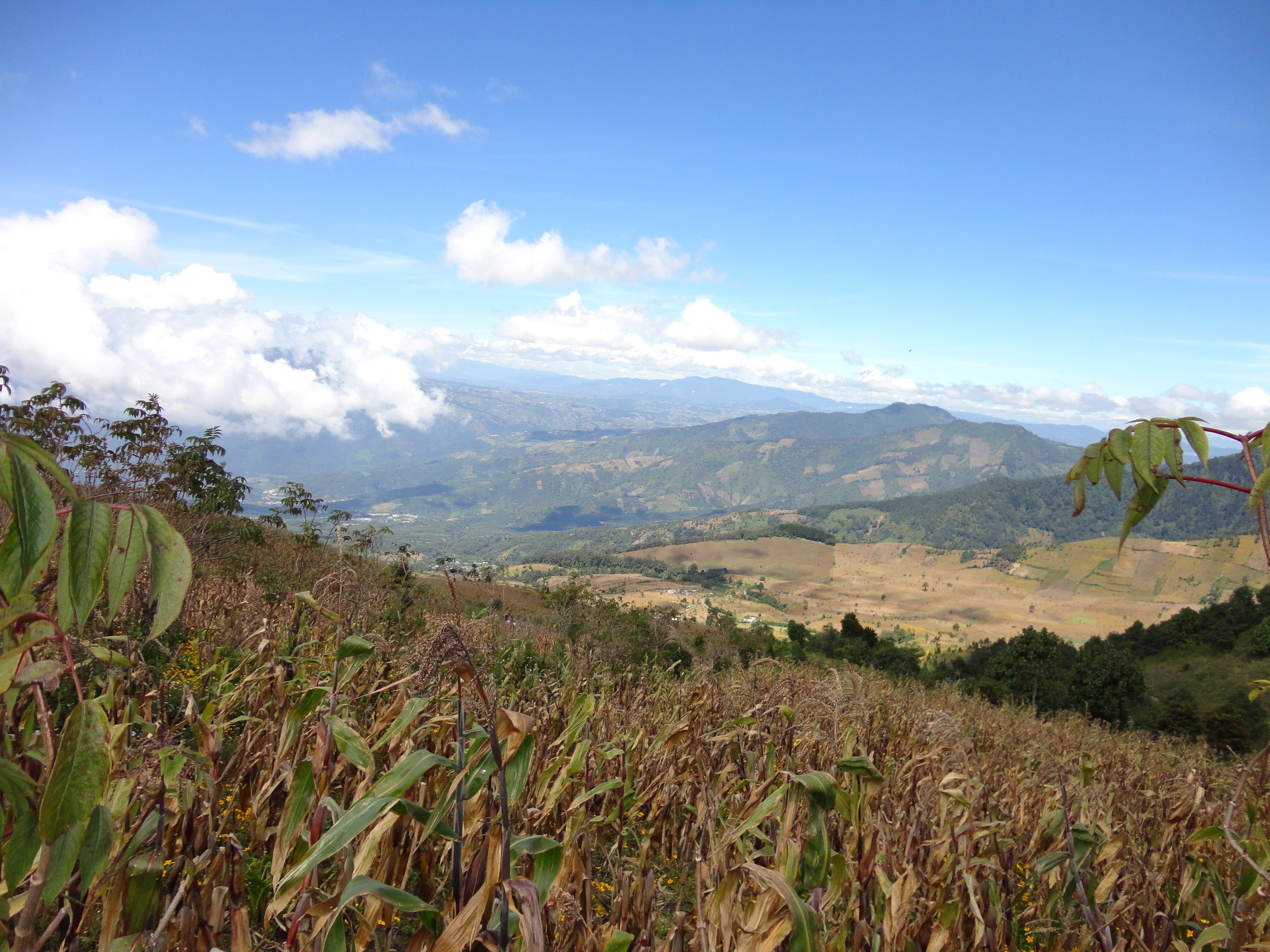 green color, no people, sky, day, growth, plant, guatemala, view volcan, mountain, scenics - nature, rural scene, tranquility, mountain range, environment, HD Wallpaper