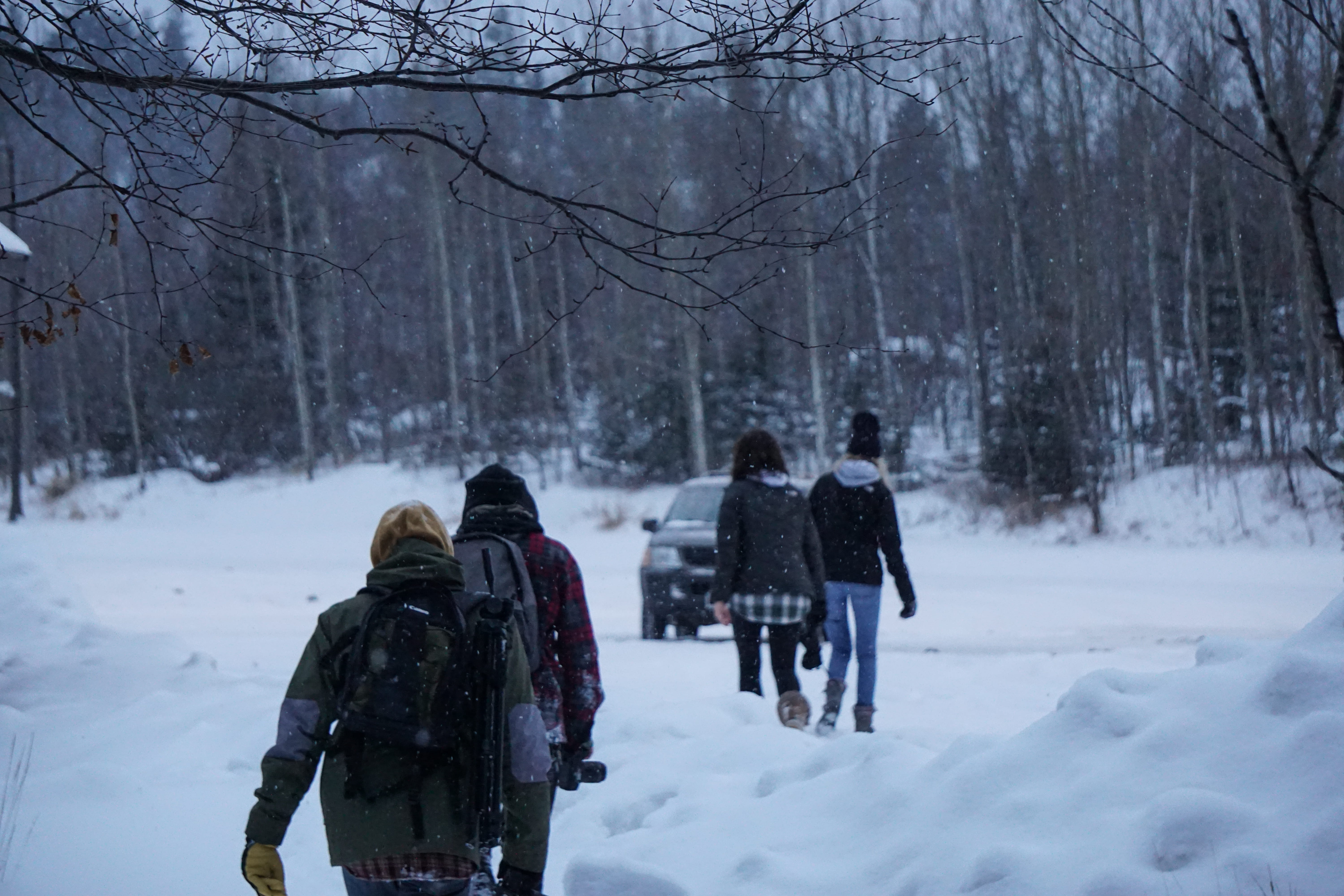 outdoors, real people, tree, white color, friends, 5K, day, rear view, northshore, land, group of people, bare tree, cold temperature, winter, plant, minnesota, HD Wallpaper