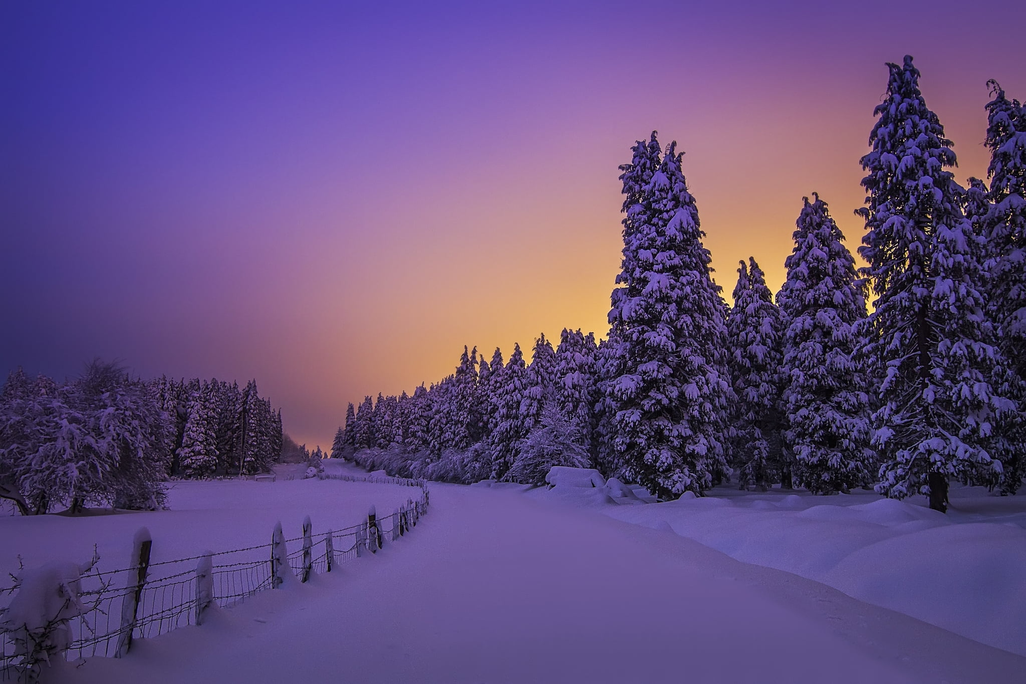 trees, sky, environment, nature, Basque Country, leafed, scenics - nature, tranquility, non-urban scene, Biscay, purple, snow, cold temperature, winter, HD Wallpaper