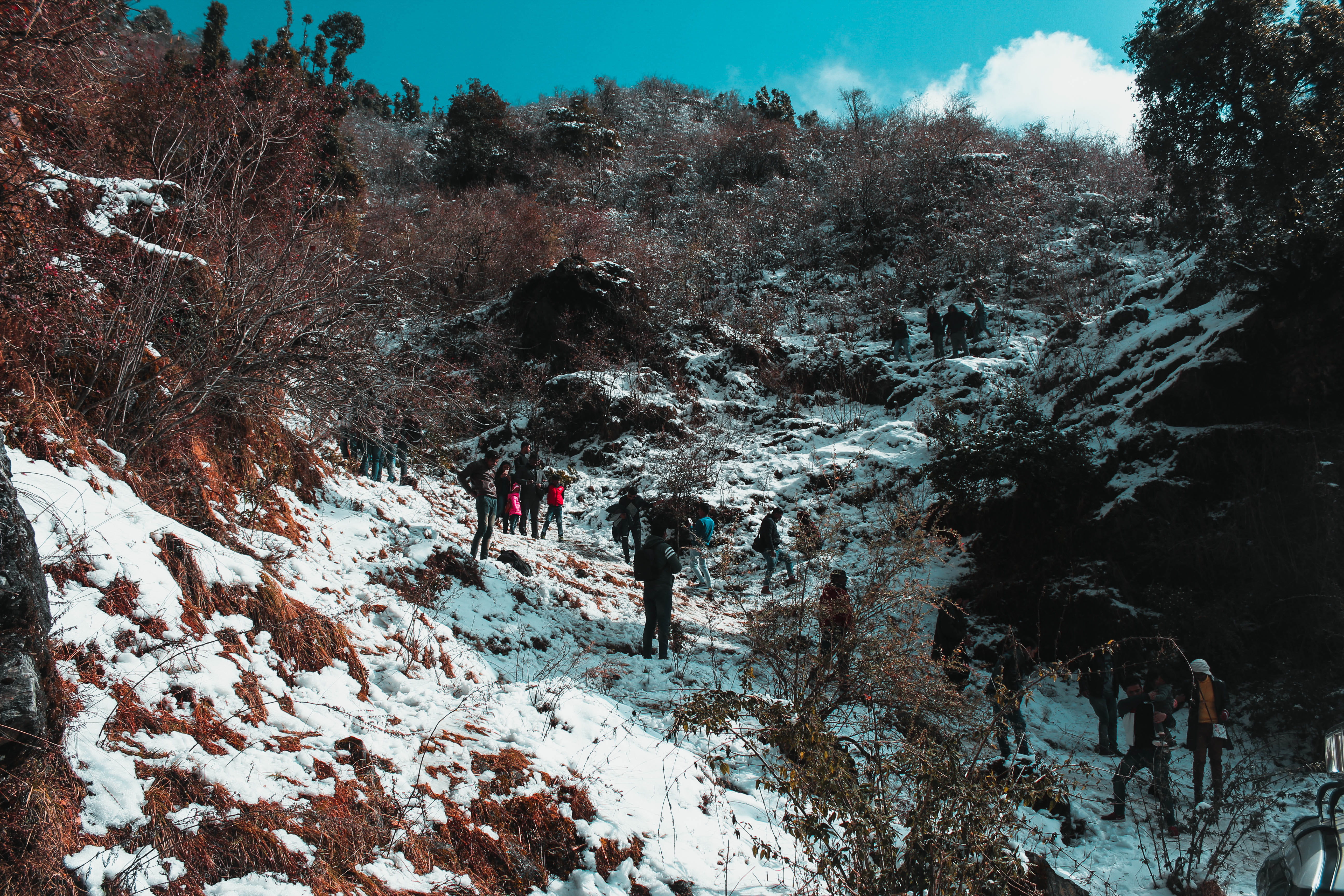 rocks, weather, tranquility, daylight, cold temperature, nature, environment, green, lifestyles, winter, land, day, walking, group, clouds, 5K, leisure activity, HD Wallpaper