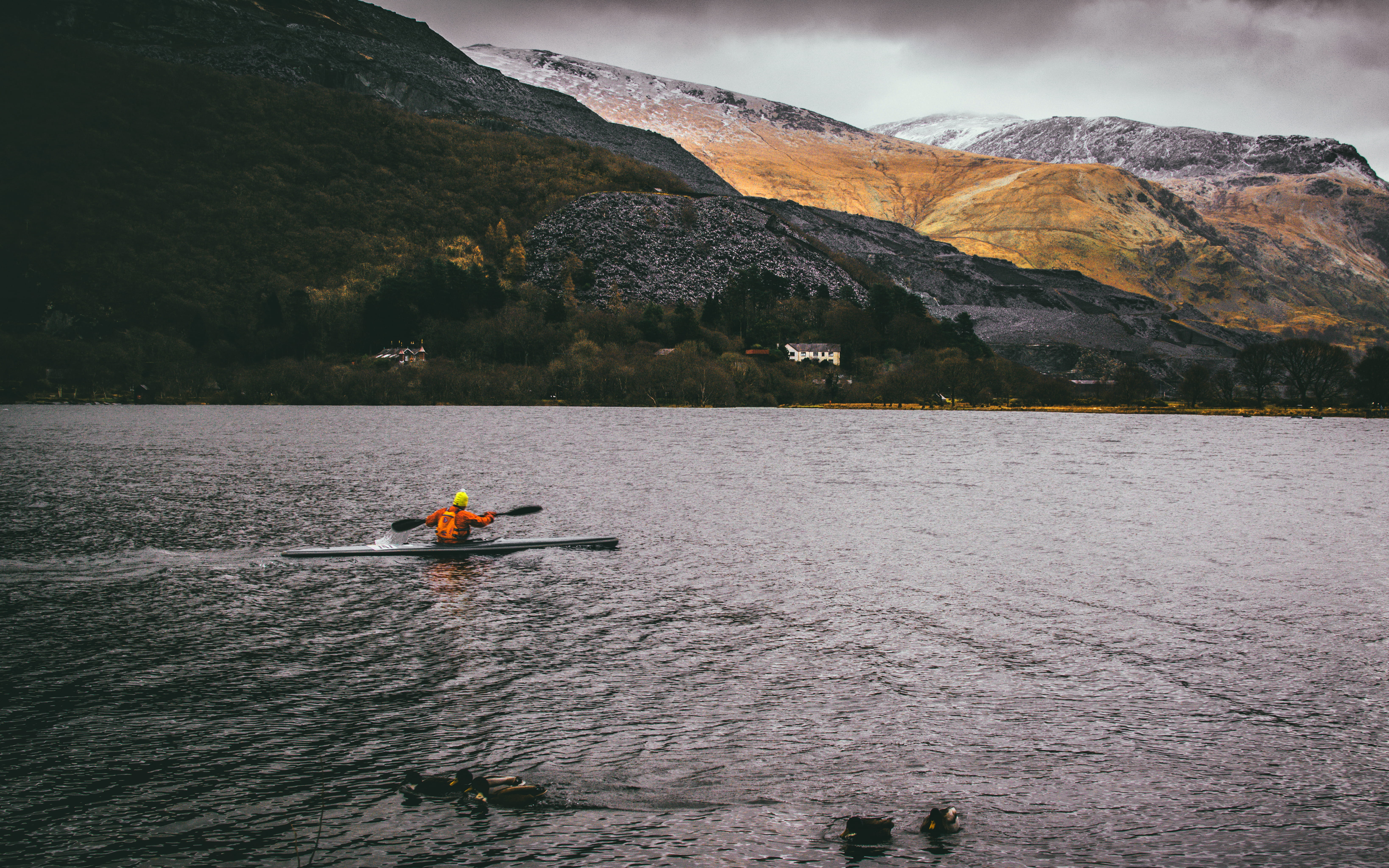 lifestyles, daylight, tranquility, seashore, adventure, fun, canoeing, mode of transportation, transportation, rowing, lake, mountain, leisure, men, canoe, HD Wallpaper