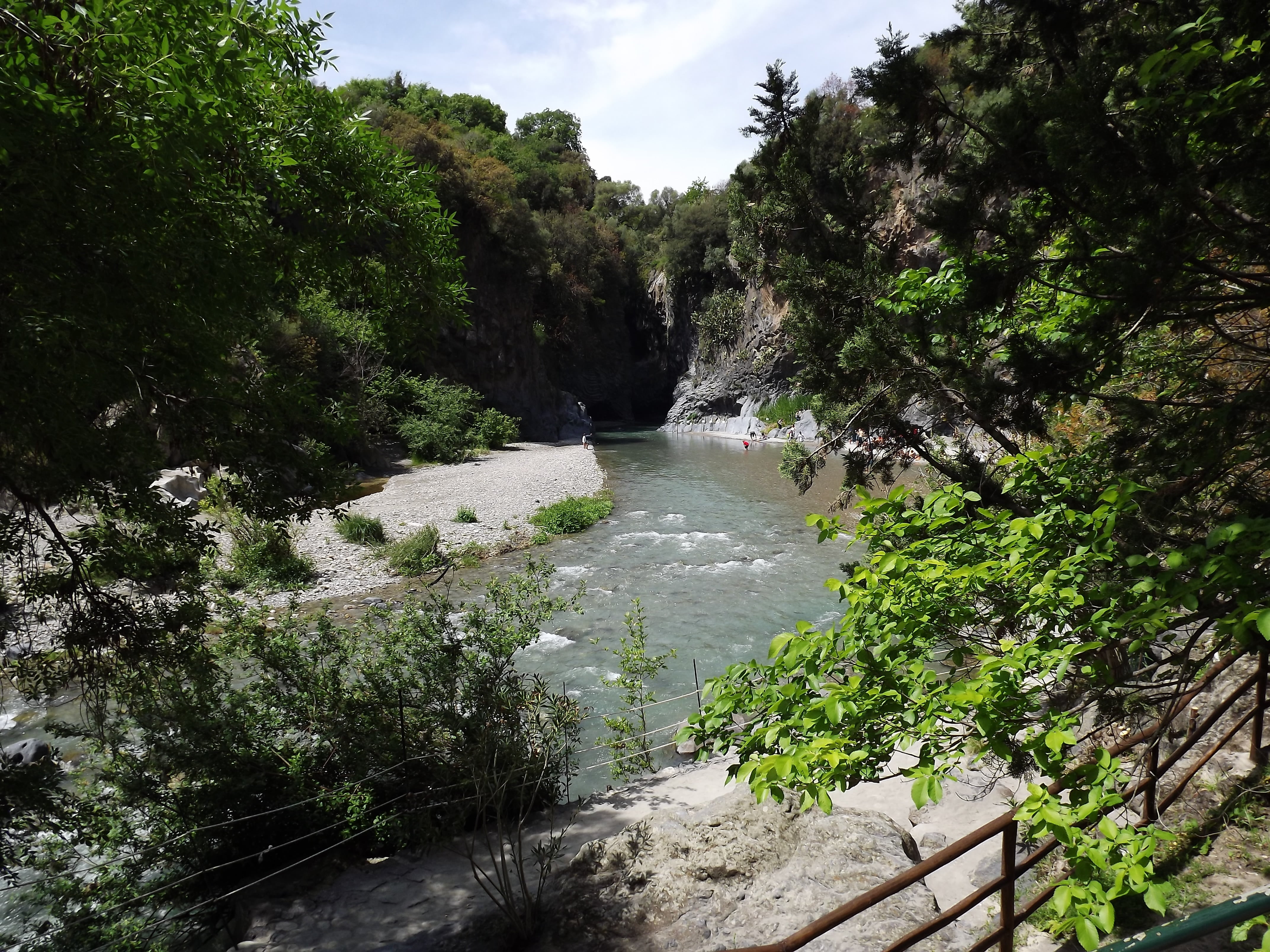 land, leisure activity, tree, water, beauty in nature, growth, forest, day, real people, lifestyles, catania, gorges, river, plant, alcantara, outdoors, HD Wallpaper