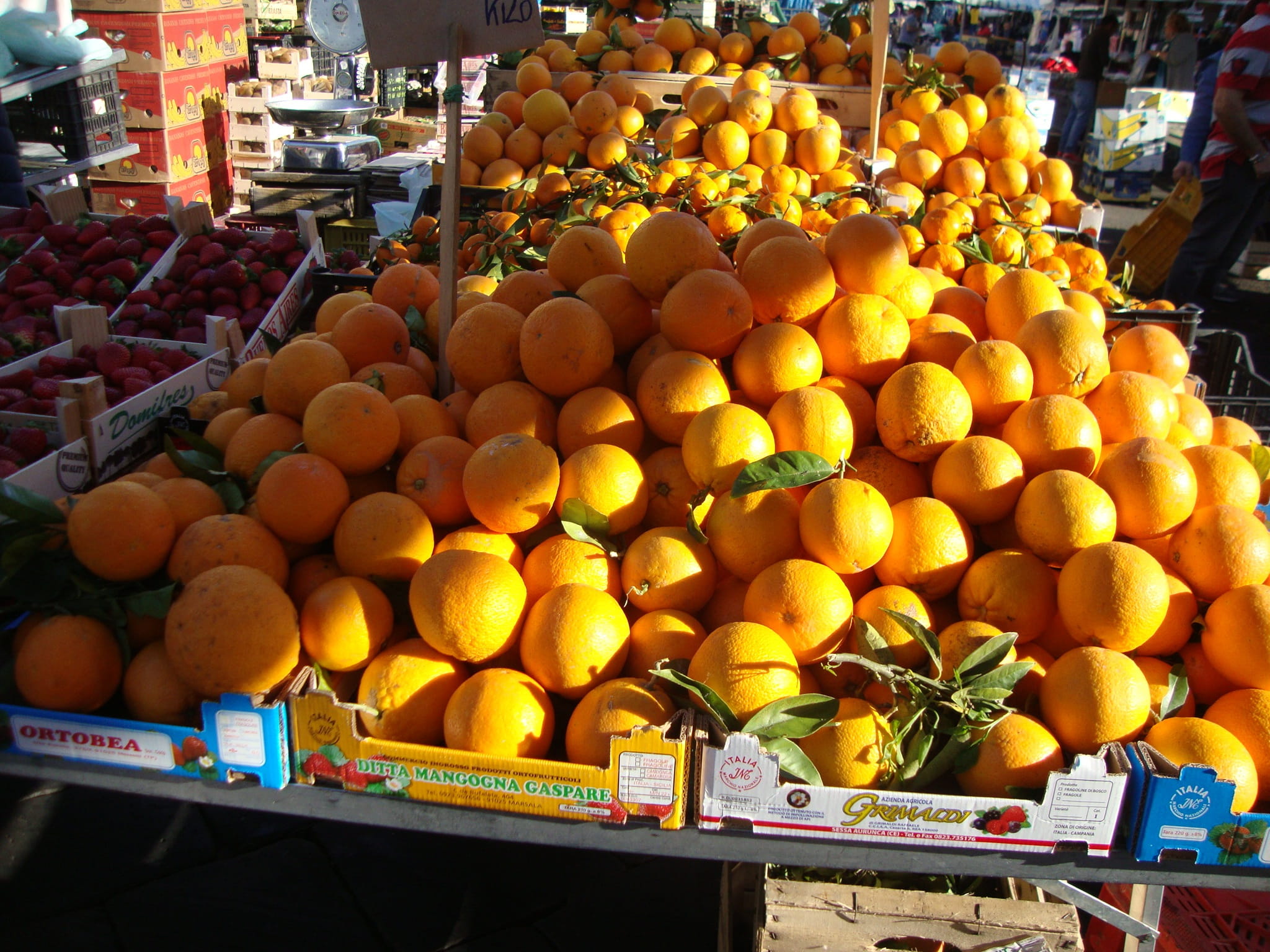 incidental people, retail, fruit, freshness, food and drink, orange color, Market, Sicily, food, citrus fruit, Catania, arrangement, wellbeing, for sale, HD Wallpaper