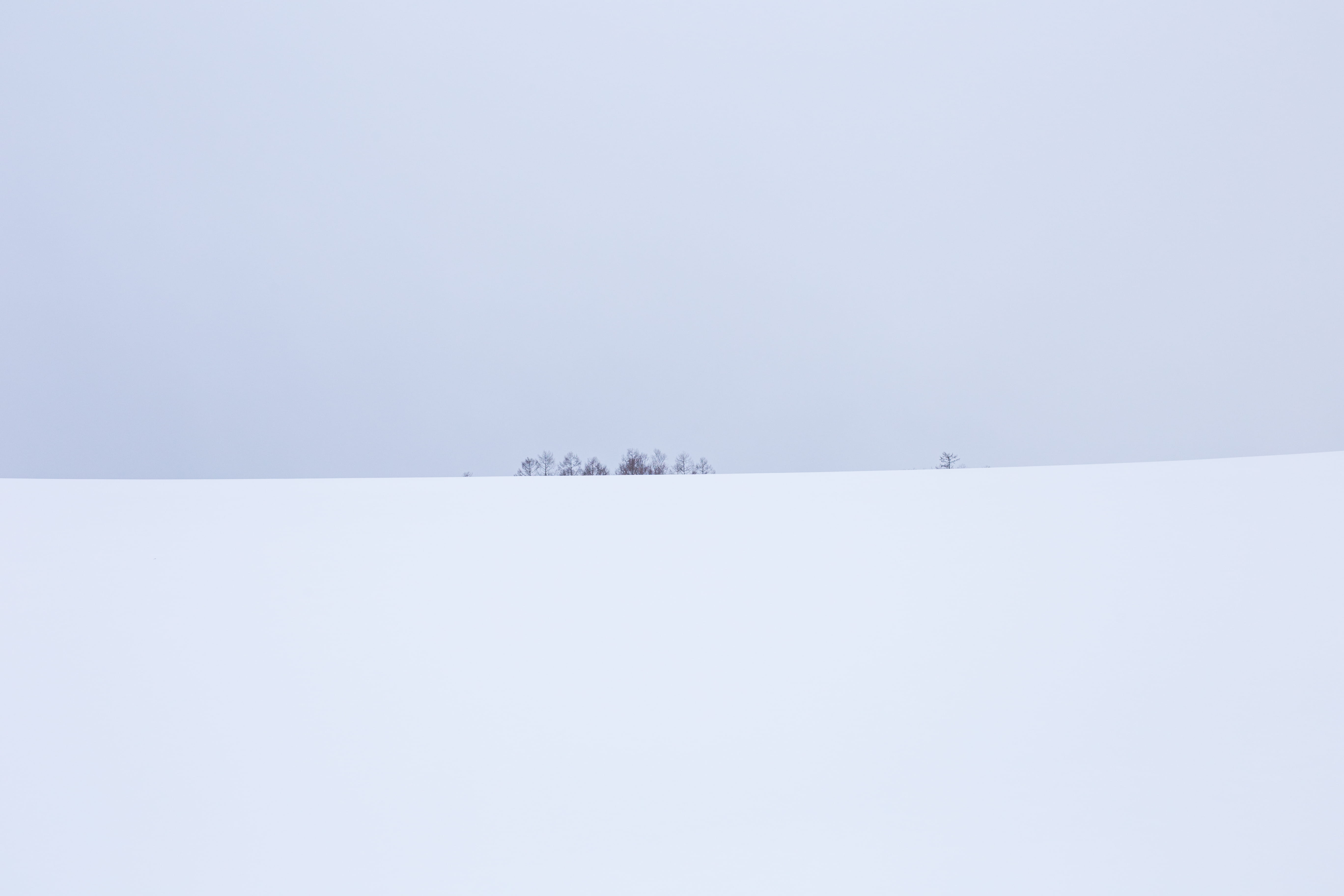 tranquility, nature, tree, beauty in nature, cold temperature, winter, landscape, extreme weather, snow, environment, trees, day, niseko, sky, scenics - nature, HD Wallpaper