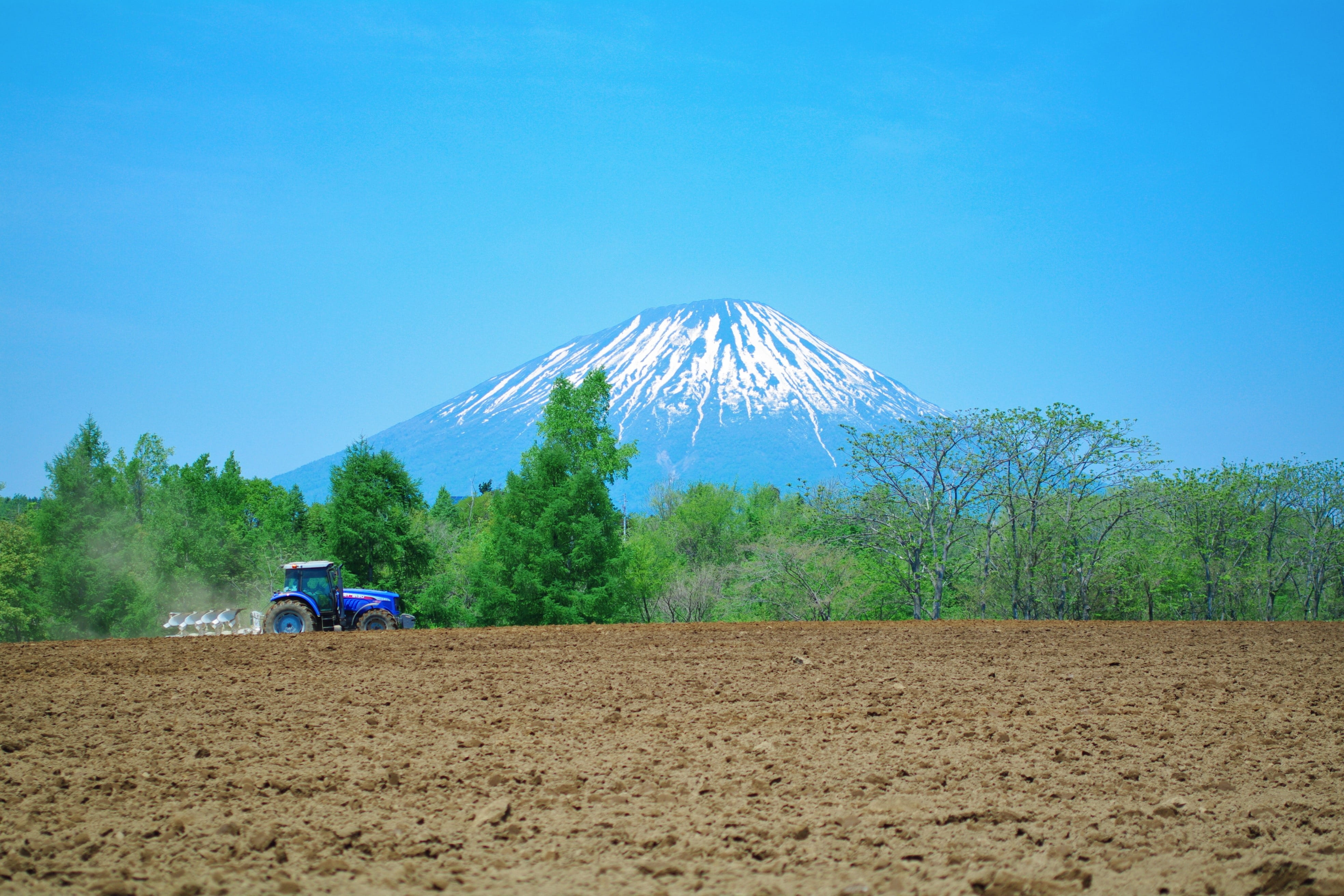 agriculture, day, niseko, land vehicle, land, landscape, potato, scenics - nature, countryside, green, mood, machinery, beauty in nature, 4K, blue, outdoors, HD Wallpaper