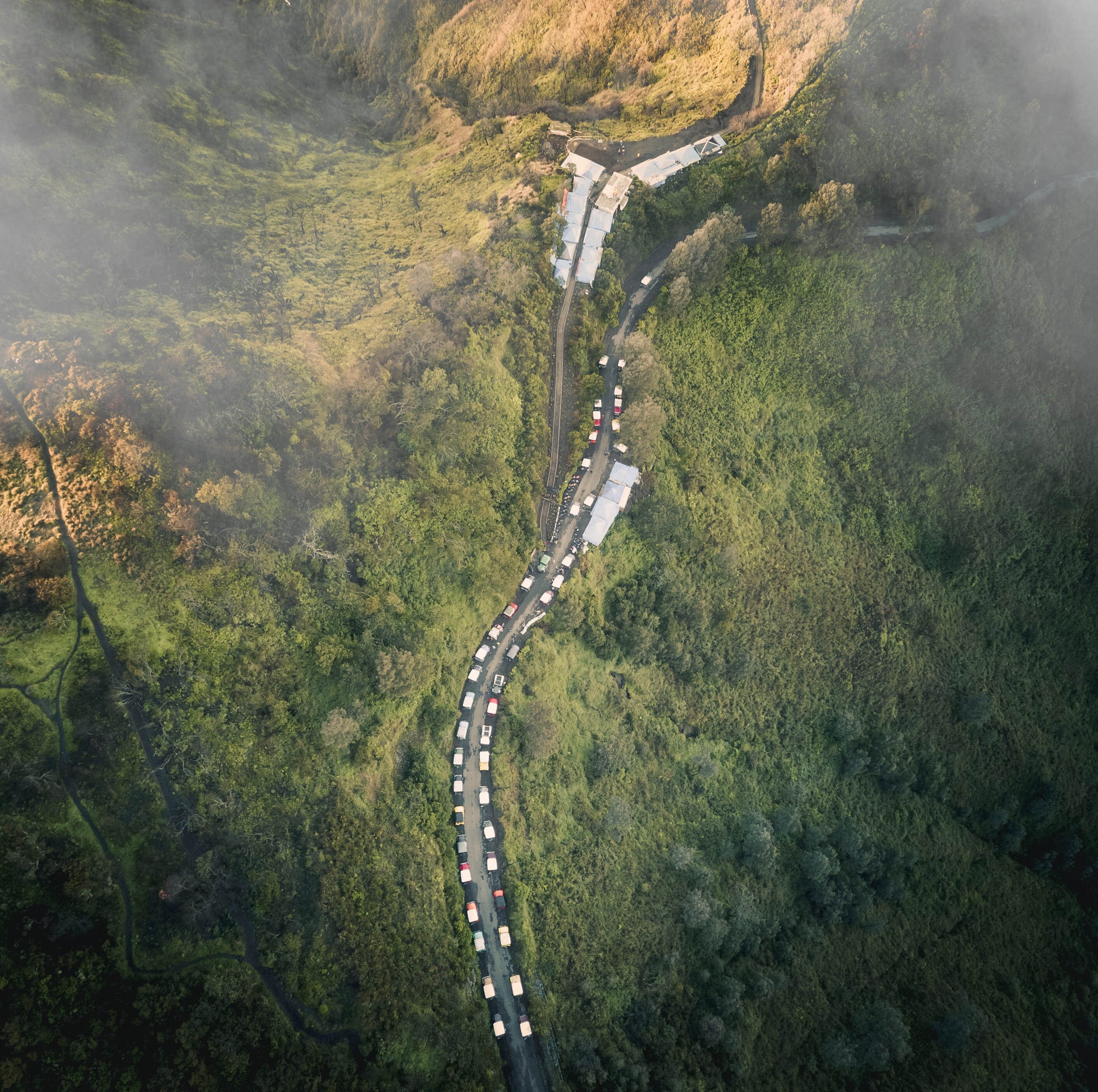 tranquil scene, road, day, green color, kingkong hill, aerial view, bromo mountain, land, tree, high angle view, indonesia, environment, rainforest, art, HD Wallpaper
