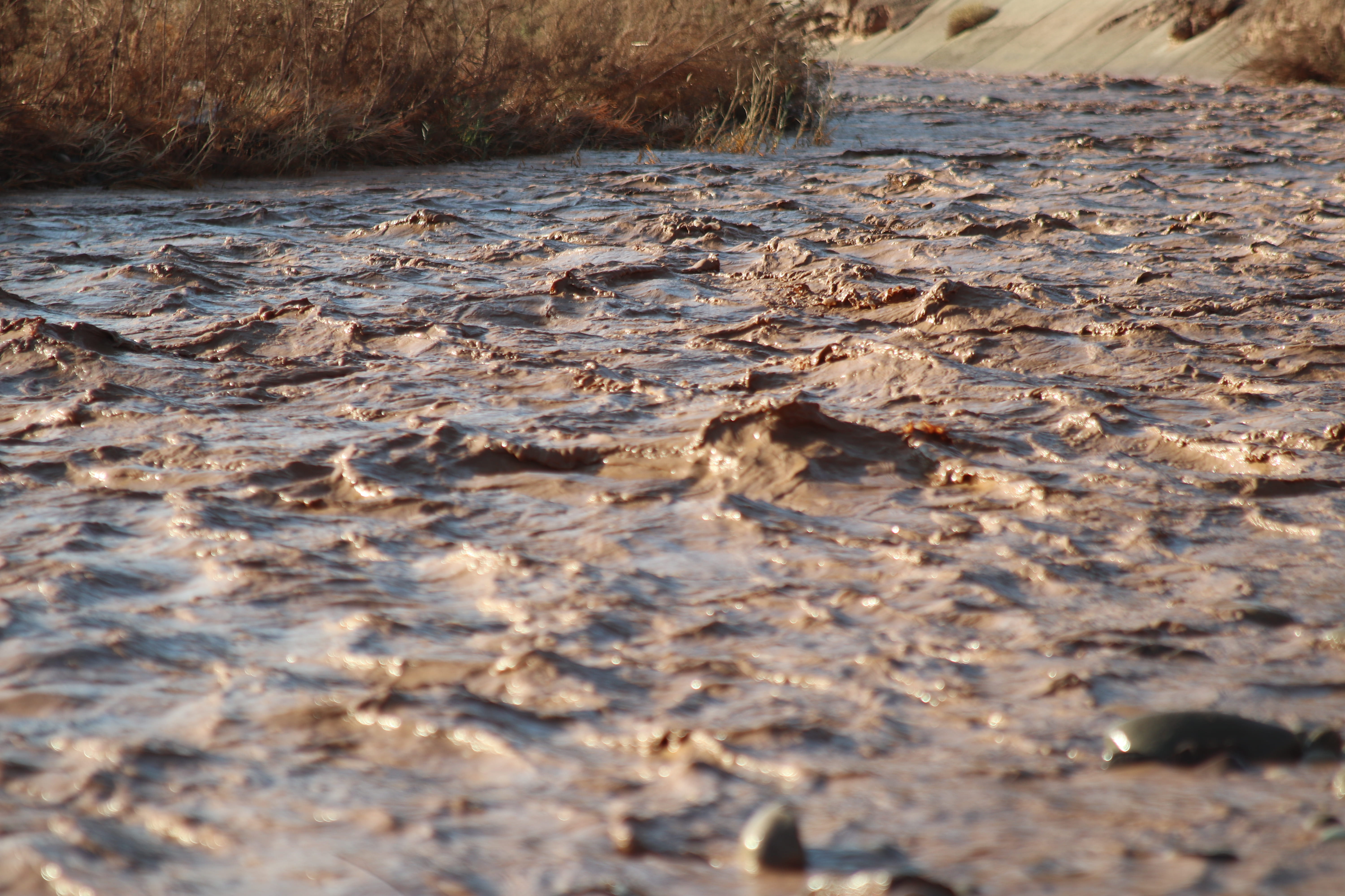 river, pollution, beauty in nature, nature, waterfront, wet, bird, close-up, 5K, soil, sand, mud, outdoors, textured, ground, city, water, rock, selective focus, HD Wallpaper