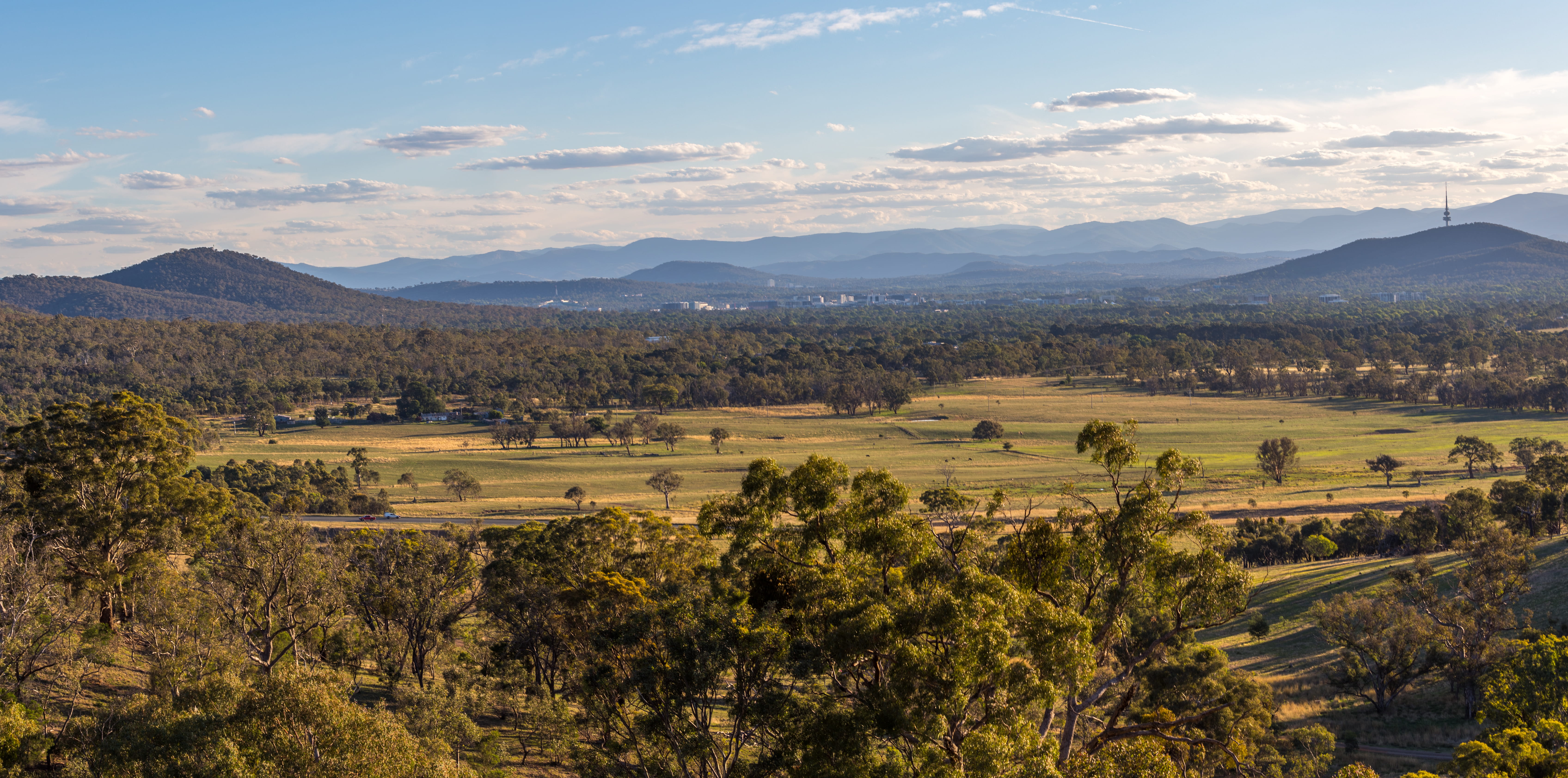 tree, forest, land, canberra, mountains, mountain range, environment, trees, day, tranquility, australia, sky, plant, beauty in nature, cloud - sky, landscape, HD Wallpaper
