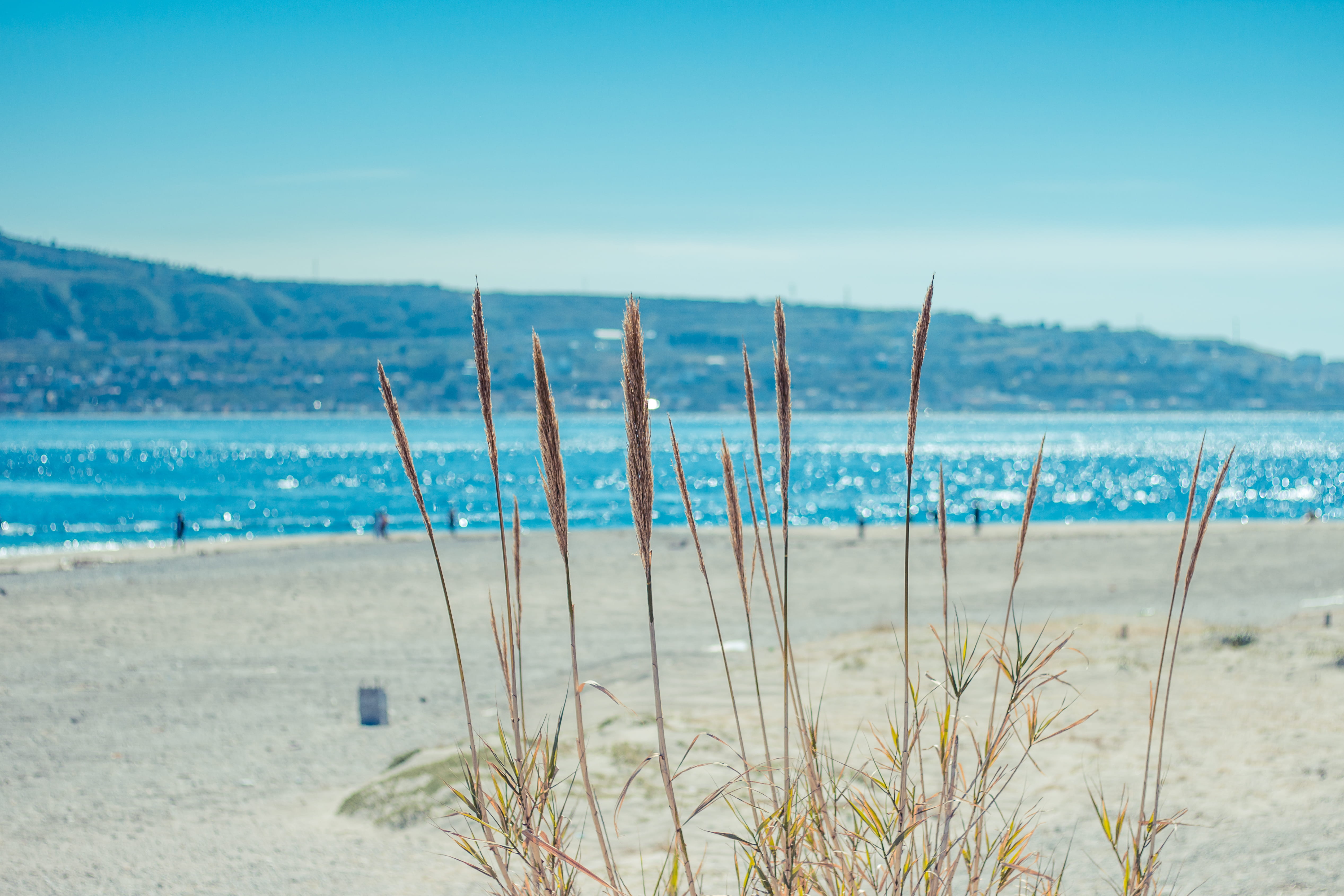 beauty in nature, capo peloro messina, land, messina, plant, scenics - nature, day, beach, blue, nature, horizon, tranquility, italy, tranquil scene, sea, HD Wallpaper