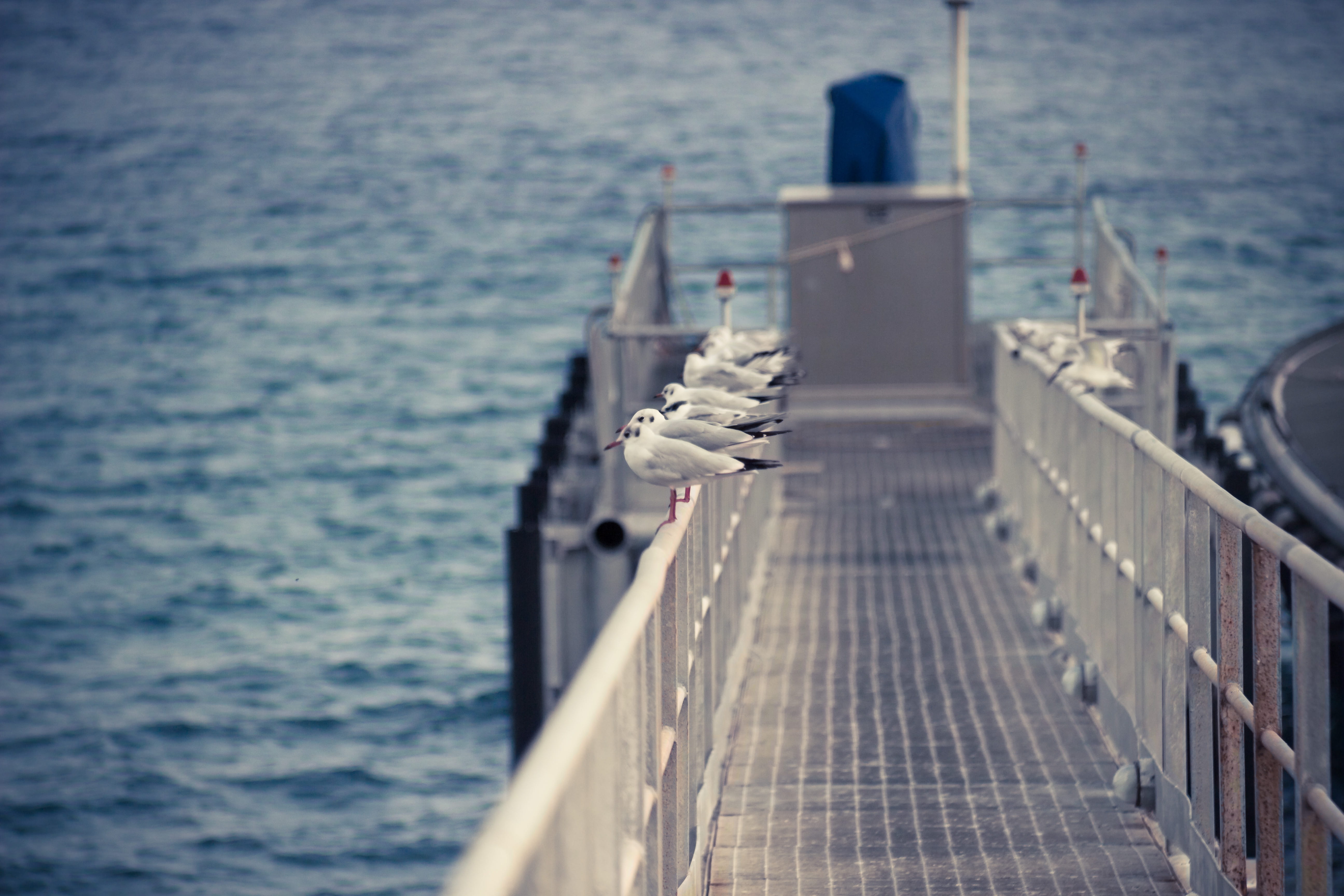 italy, railing, nature, 5K, sailboat, motion, in a row, outdoors, direction, no people, sunlight, the way forward, day, pier, selective focus, rope, transportation, HD Wallpaper