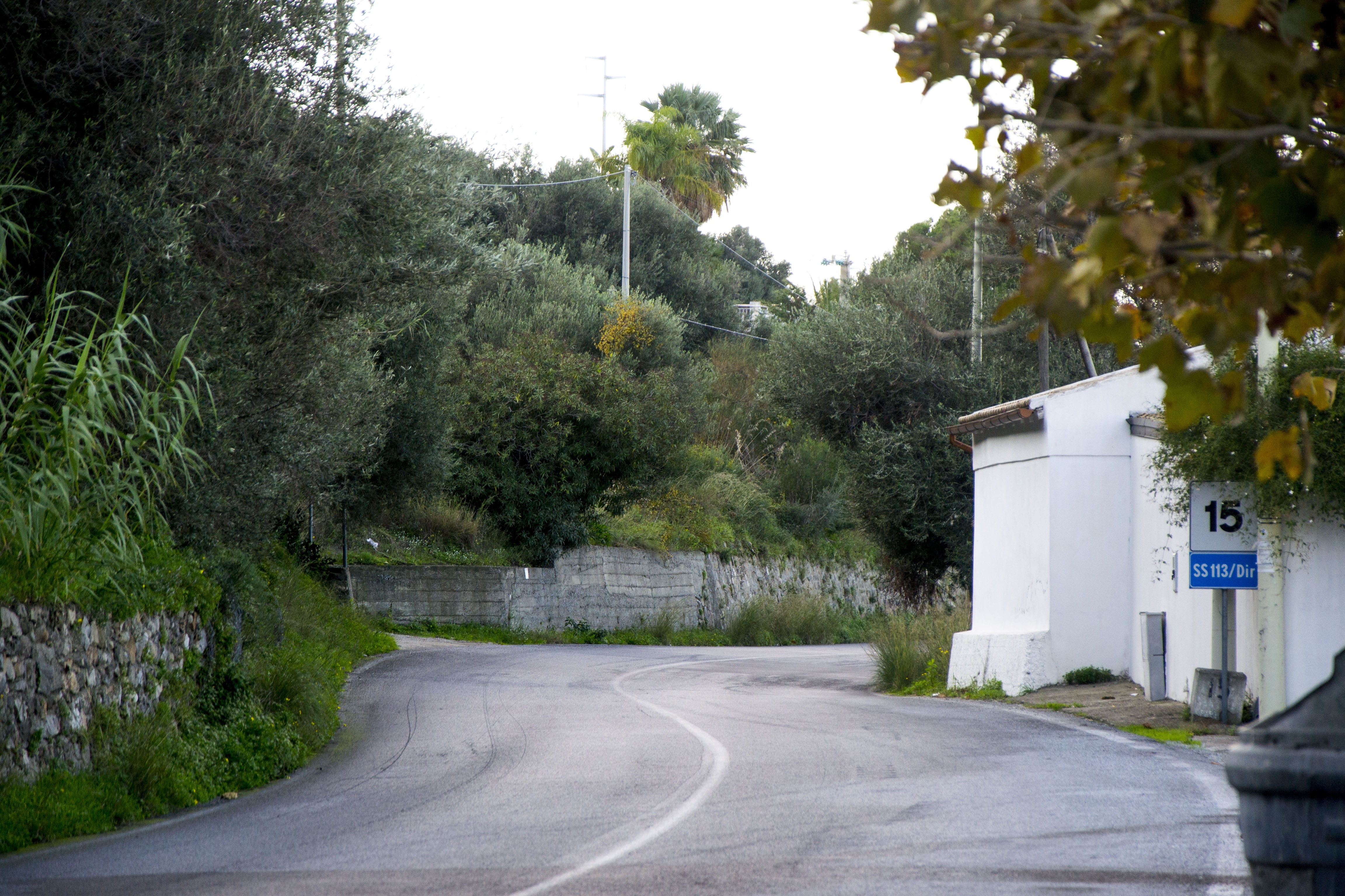 direction, italy, sign, curve, no people, nature, tree, transportation, the way forward, outdoors, sky, road, symbol, messina, plant, architecture, street, HD Wallpaper
