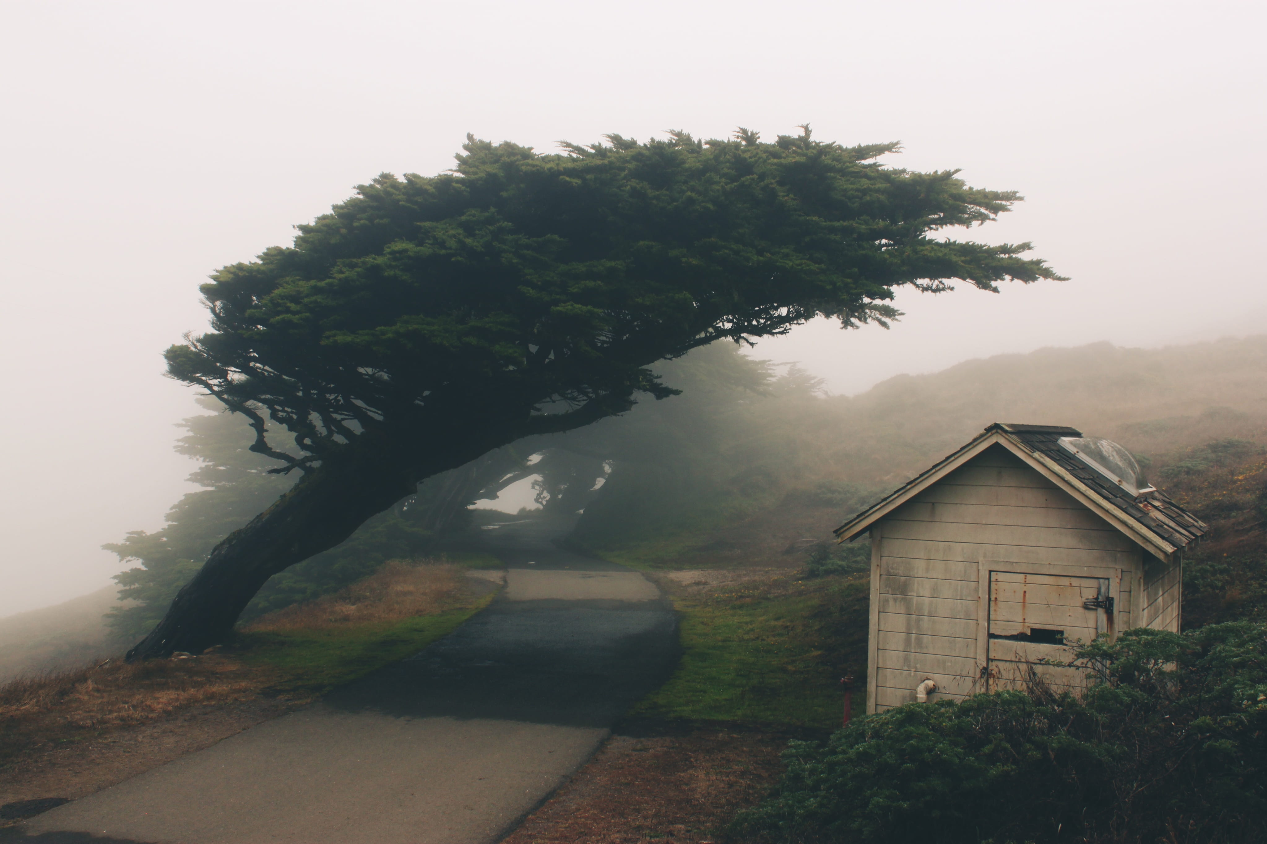 built structure, tranquility, sky, building exterior, no people, outdoors, inverness, land, tree, point reyes lighthouse, growth, mountain, building, day, HD Wallpaper