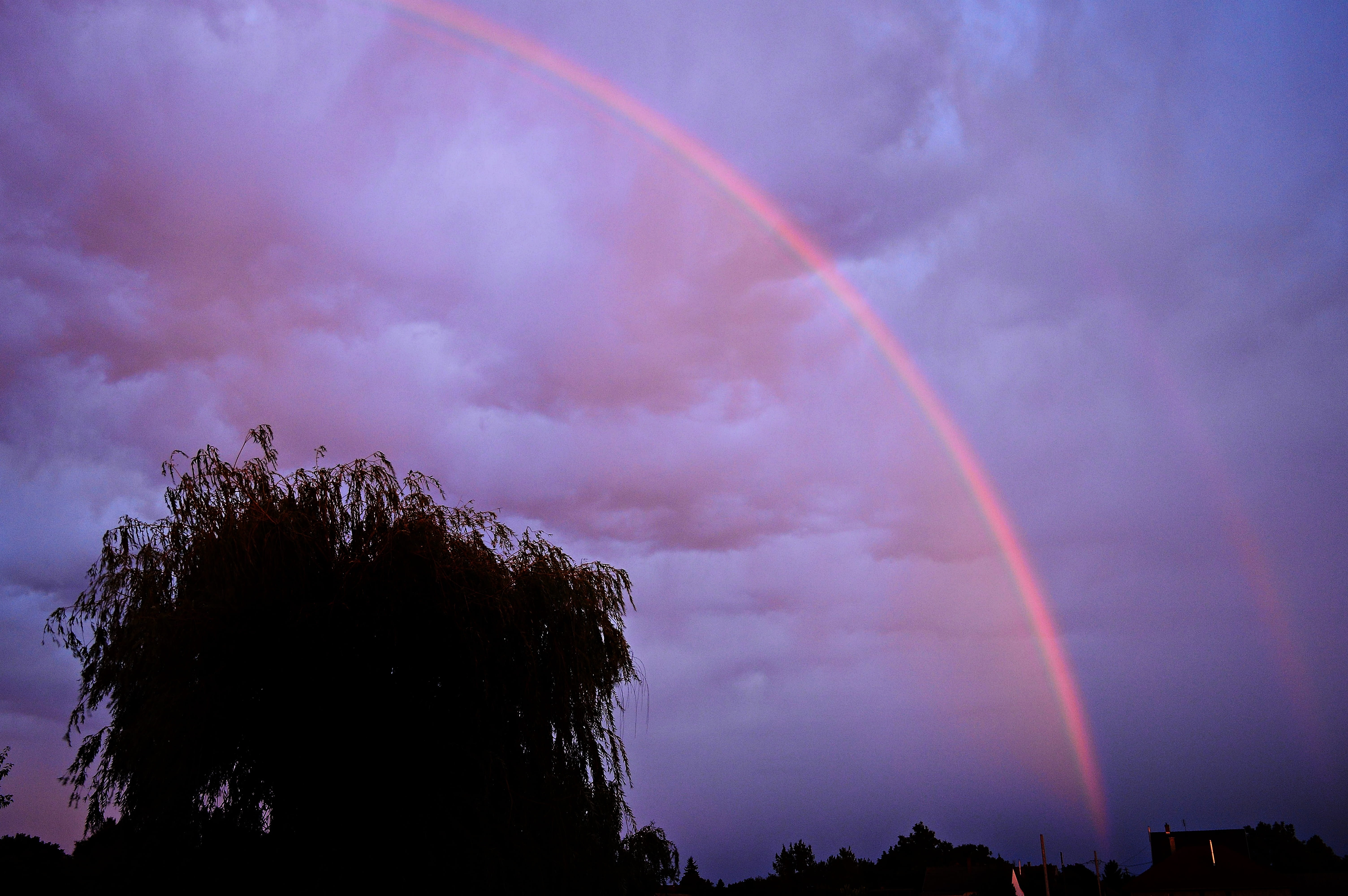 architecture, tree, silhouette, 5K, sky, purple, sunset, beauty in nature, rainbow, storm, plant, multi colored, scenics - nature, wet, thunderstorm, clouds, HD Wallpaper