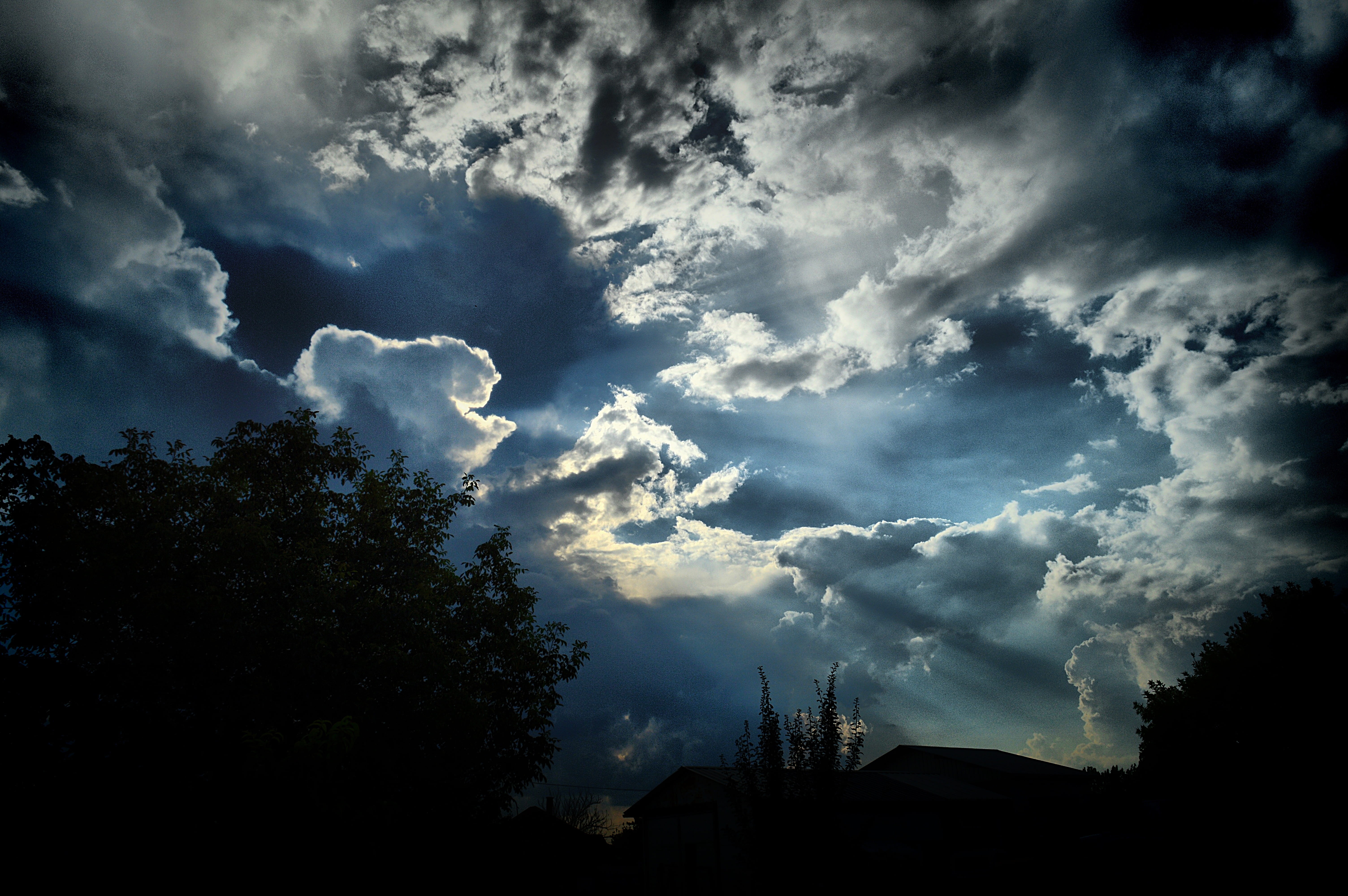 dark, tranquil scene, beauty in nature, non-urban scene, sky, sunset, outdoors, storm, cloud - sky, tree, 5K, ominous, tranquility, low angle view, cloudscape, HD Wallpaper