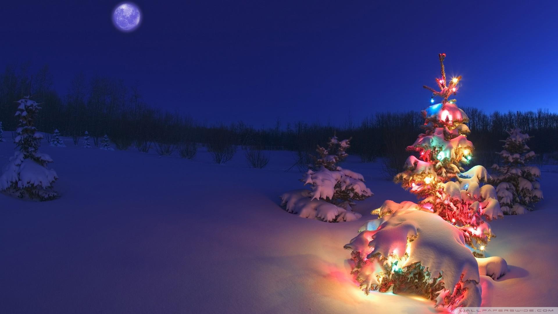 years, 1080P, christmas, new, moon, winter, mountain, nature and landscapes, eve, nature, lights, trees, HD Wallpaper