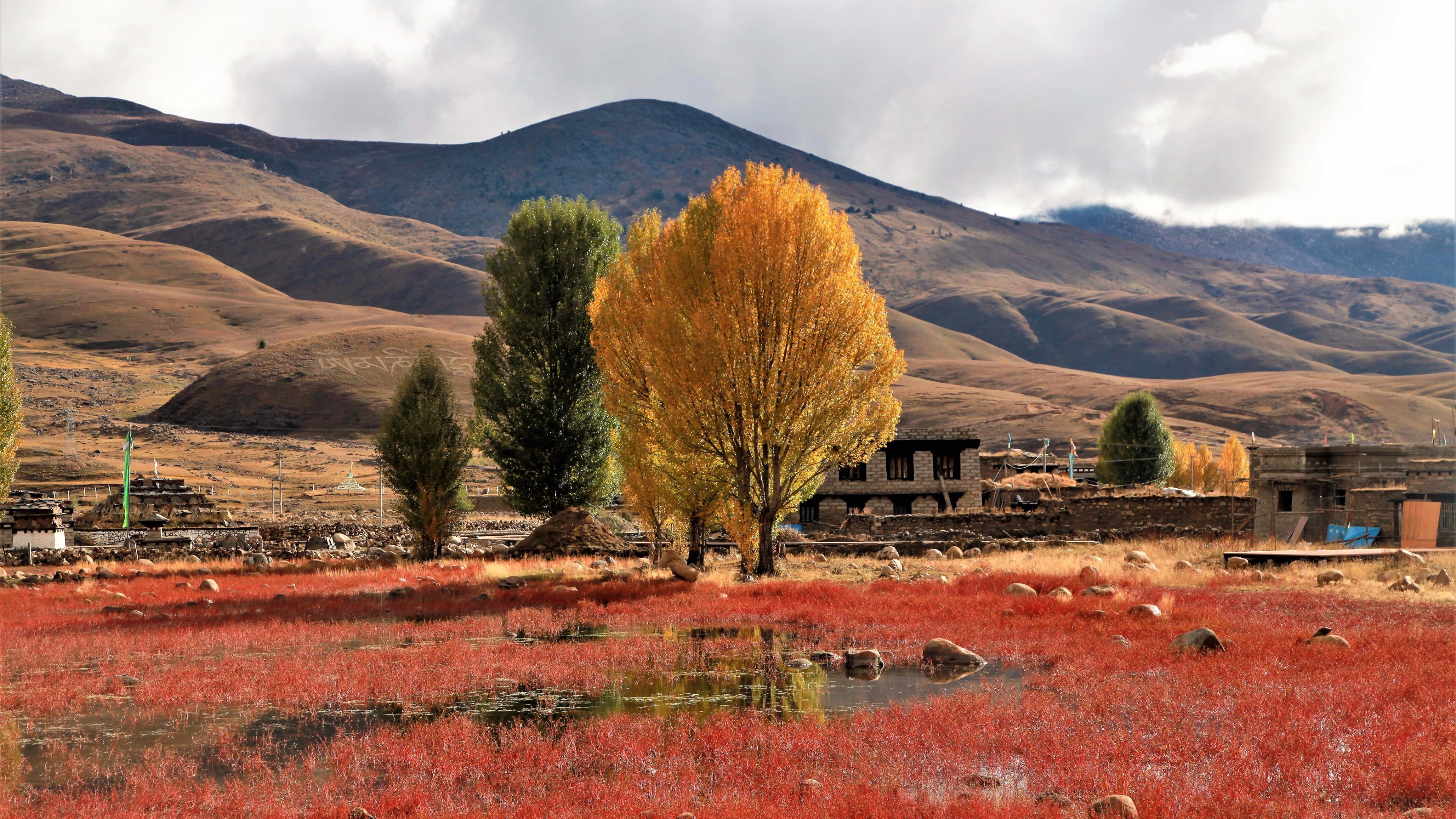 garze, cloud - sky, sky, built structure, daocheng, mount scenery, autumn, water, tree, outdoors, mountain range, tibet, day, grass, asia, yellow leaves, HD Wallpaper