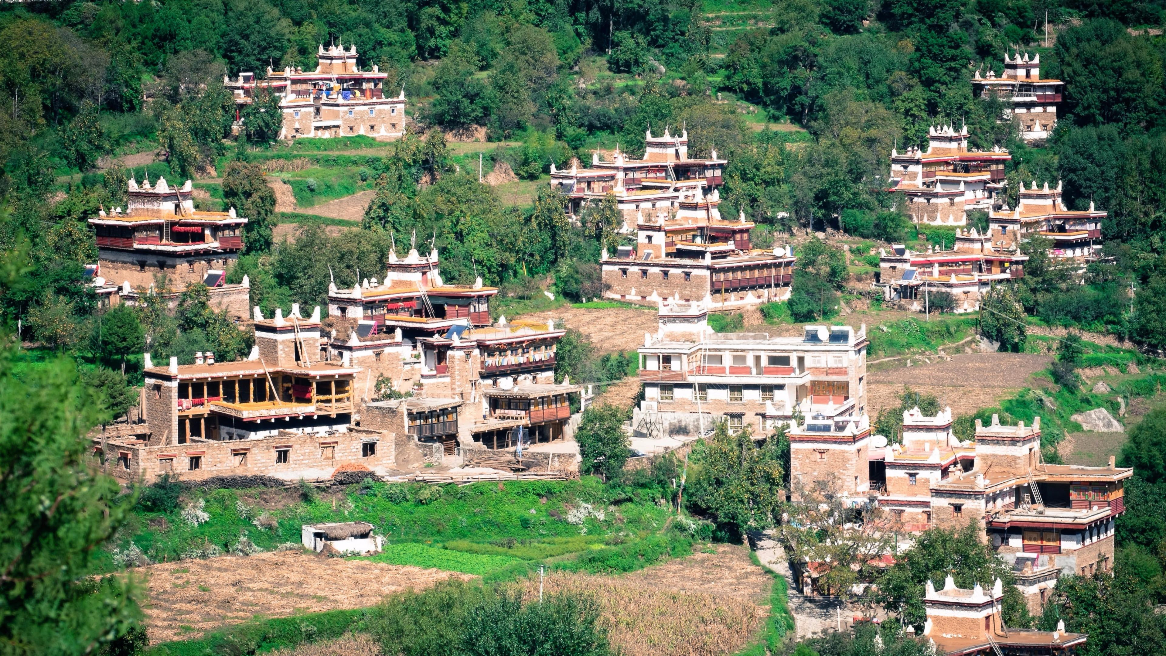 no people, tree, location, tibet, tibetan, jiarong, walled, garze, china, village, green color, architecture, old, outdoors, building, jiaju, asia, townscape, HD Wallpaper