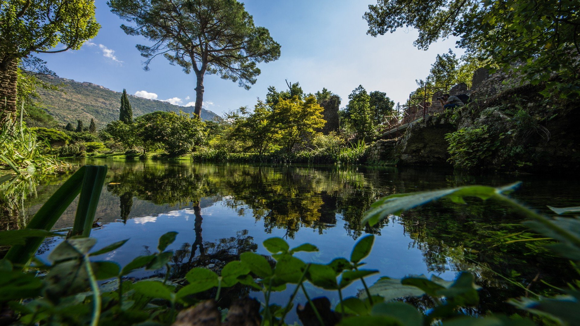 people, hd, Trees, jordan, 1080P, 1920x1080 px, michael, x, px, jungles, art, water, HD Wallpaper