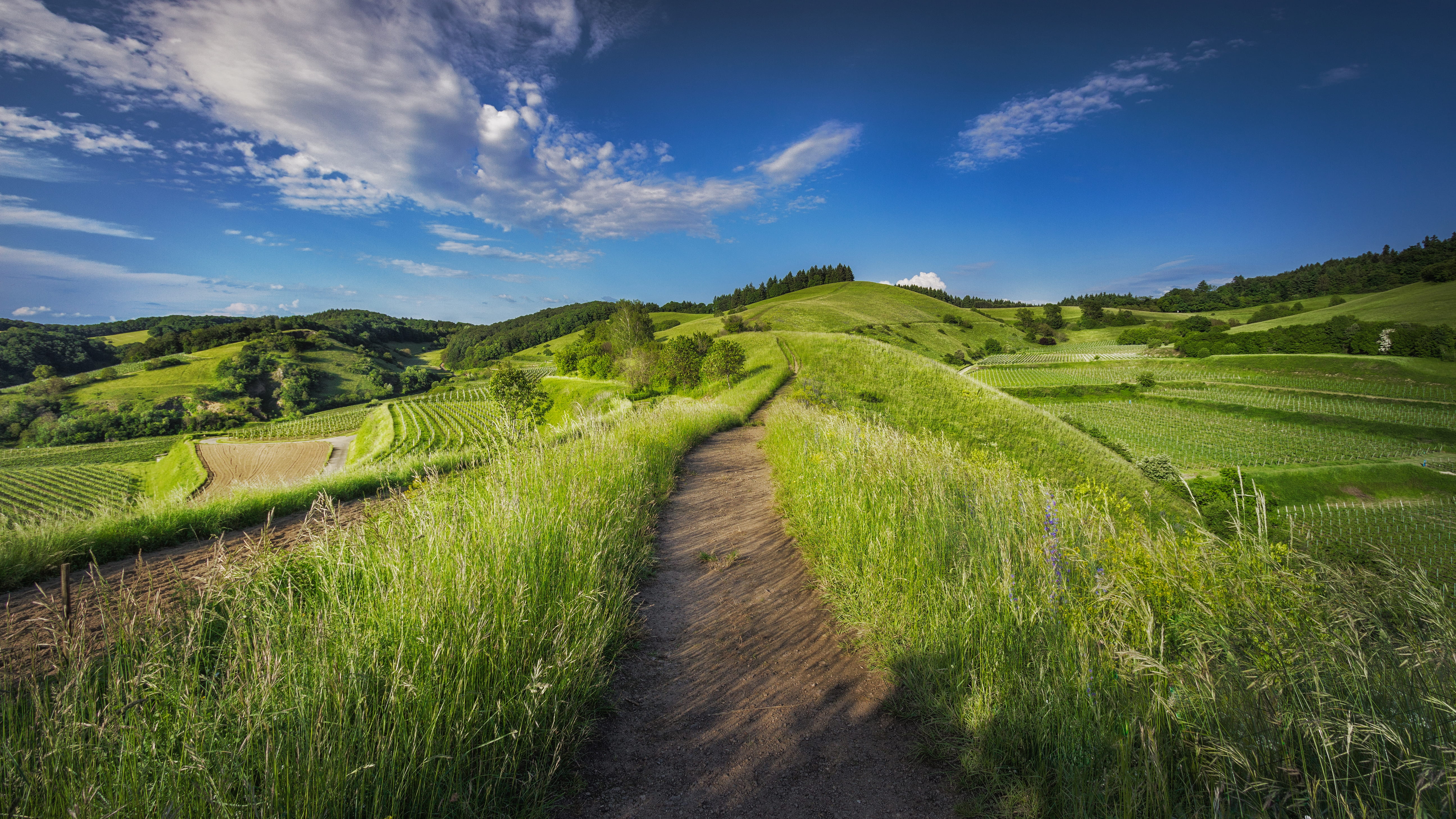 photography, agriculture, landscape, green color, green, daytime, plant, hillside, road, rural scene, no people, afternoon, cloud, plants, grass, evening, HD Wallpaper