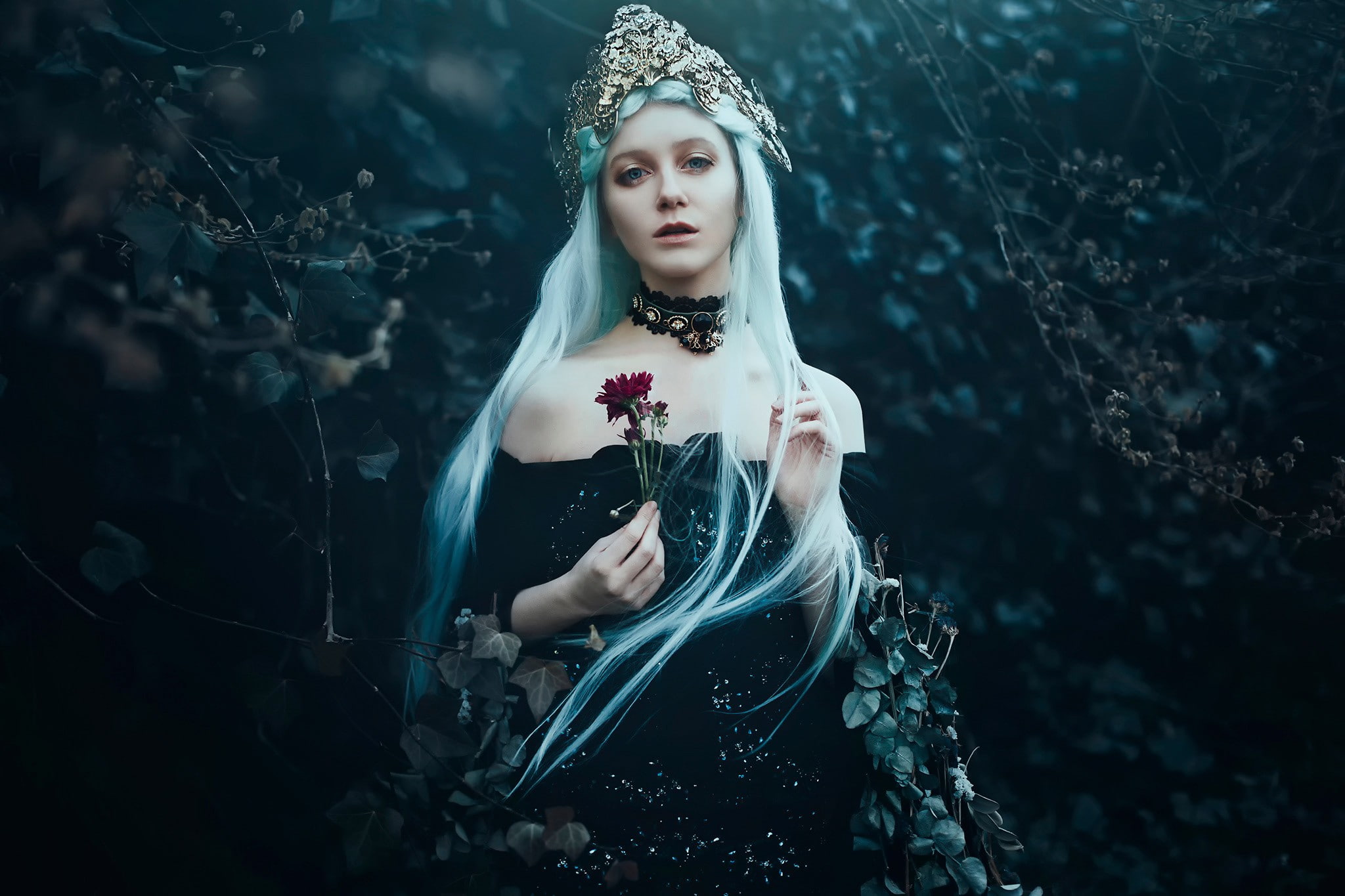 fashion, looking at camera, contemplation, land, looking, hair, Bella Kotak (Photographer), plant, young women, portrait, real people, nature, women, one person, HD Wallpaper