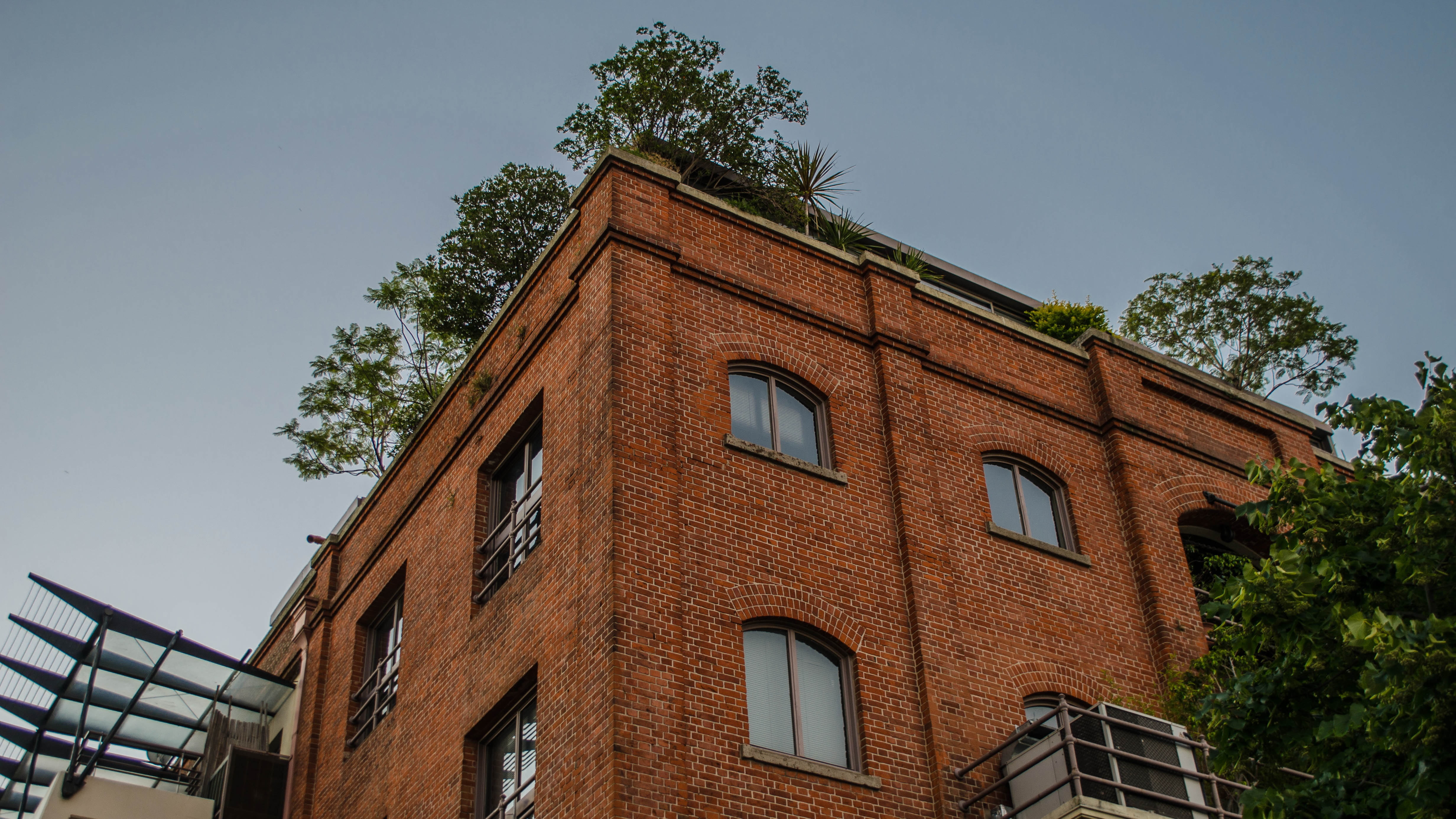 clear sky, the past, city, roof tile, architecture, buenos aires, tree, residential district, 4K, house, plant, puerto madero, window, growth, nature, HD Wallpaper