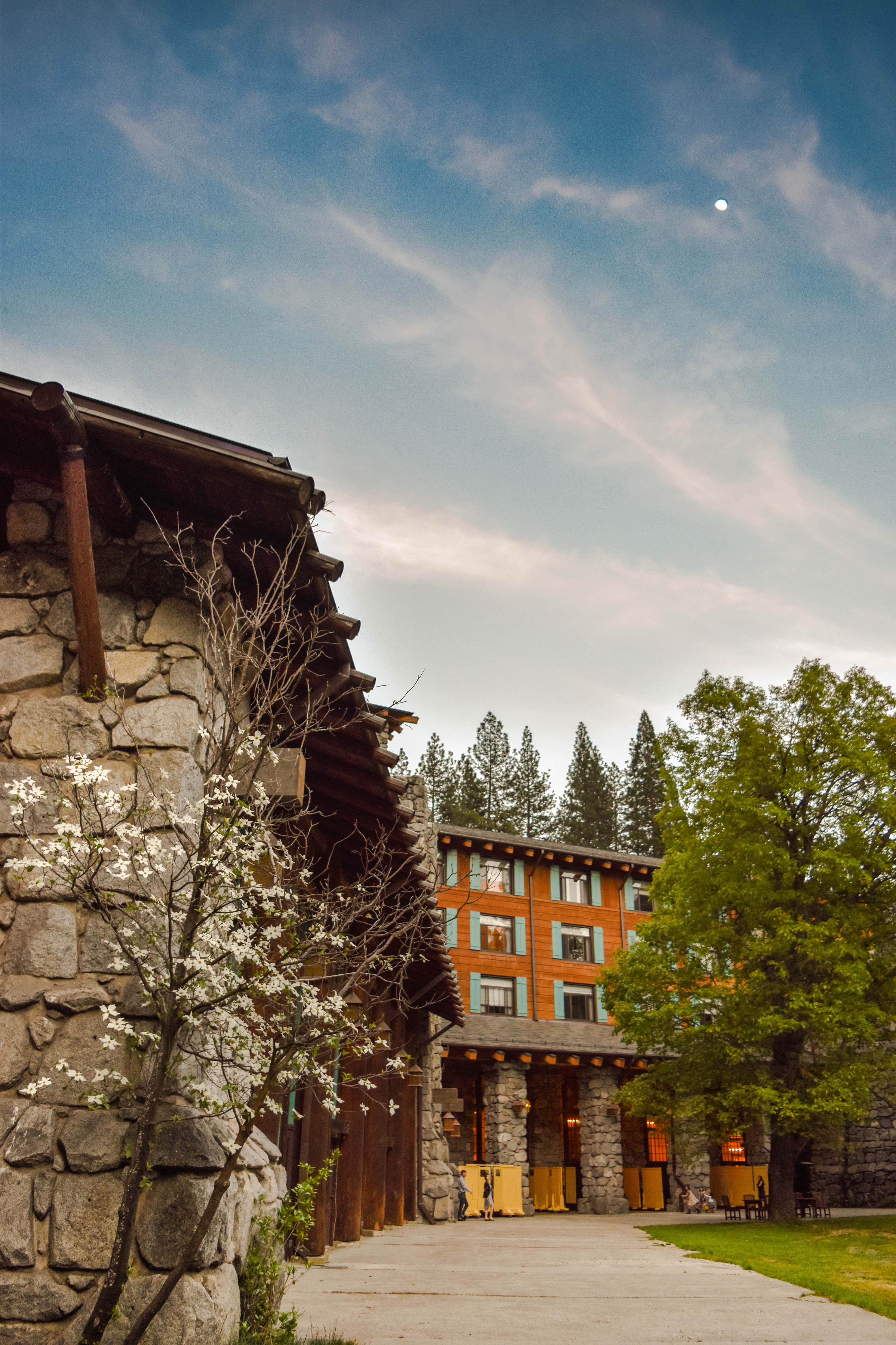 plant, yosemite valley, street, residential district, architecture, building exterior, built structure, building, house, row house, hotel, yosemite, trees, Phone HD Wallpaper