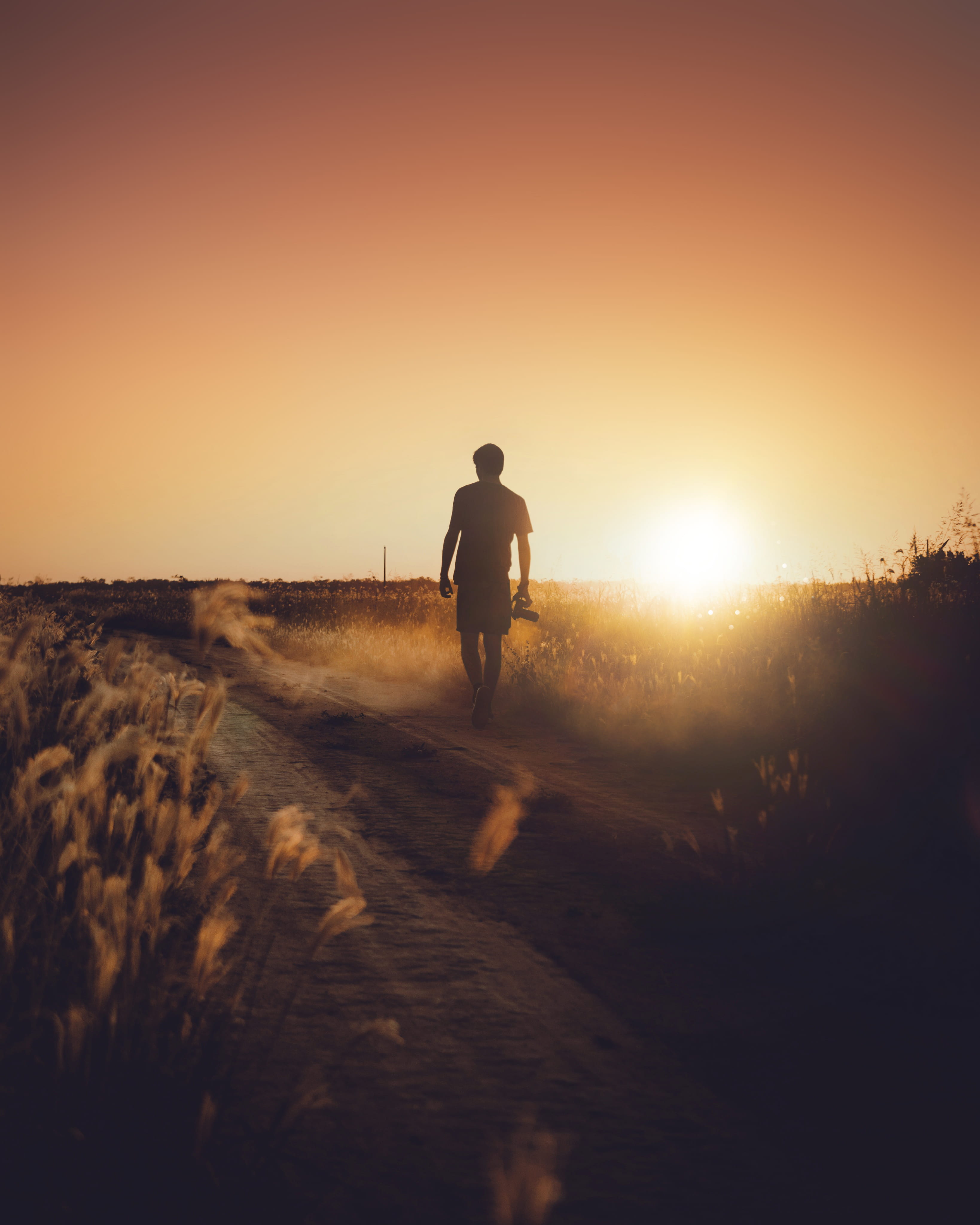 human, man, one person, light, orange color, sun, nature, la estela, silhouette, camera, beauty in nature, sunlight, standing, flare, holding, sport, outdoors, Phone HD Wallpaper