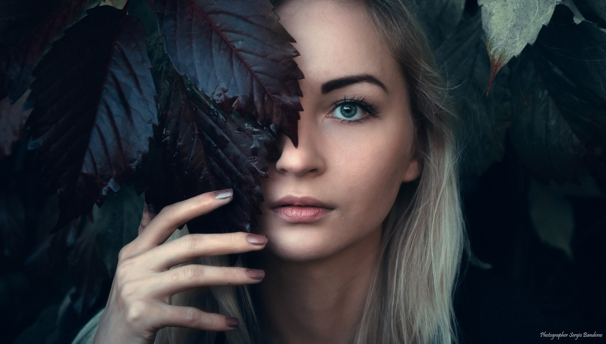 face, 1080P, green eyes, portrait, Sergio Banderas, blonde, women, leaves, HD Wallpaper