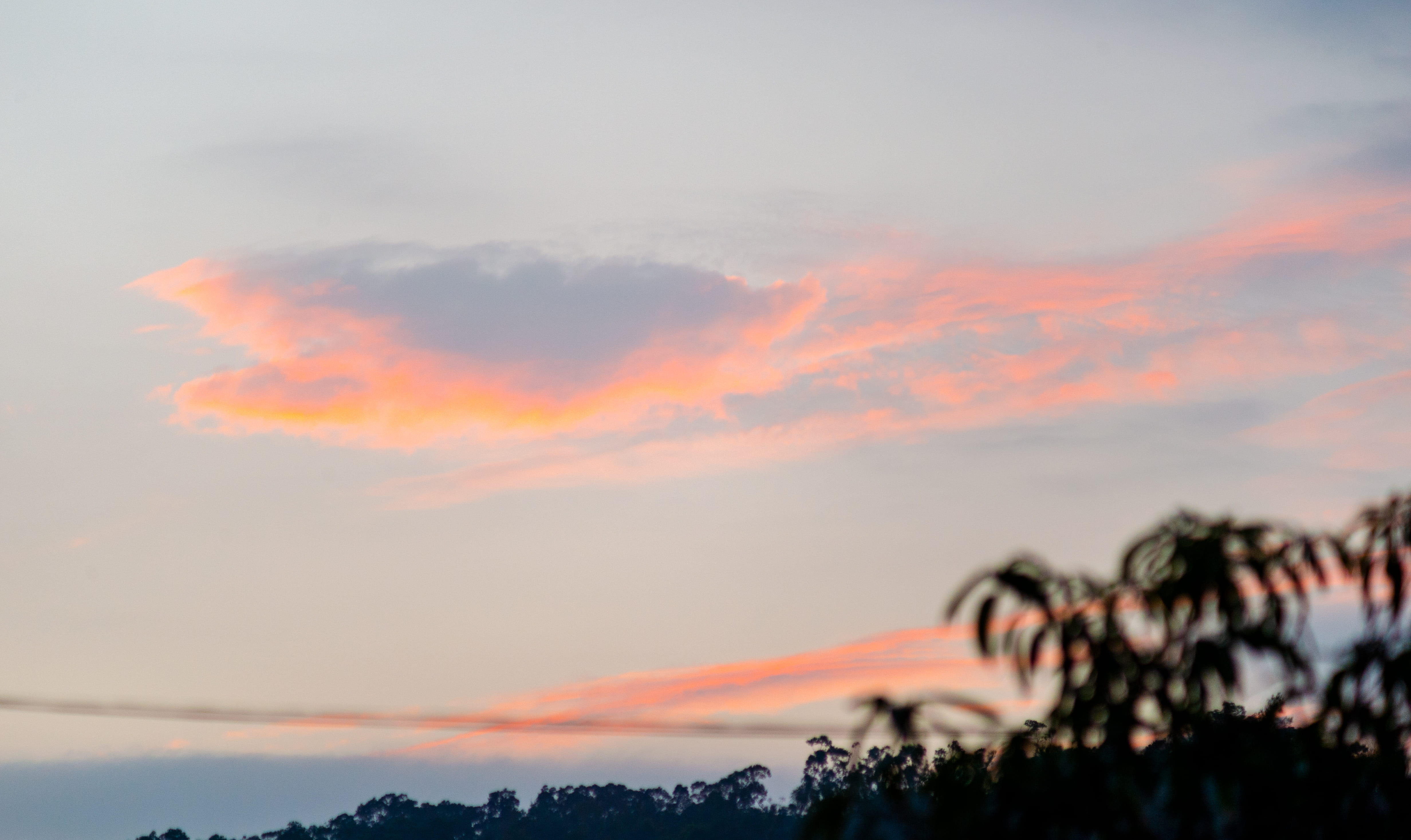 growth, no people, cloud - sky, romantic sky, nikon df, sunrise, clouds, tranquil scene, dusk, nikon, tree, outdoors, idyllic, trees, sky, nature, low angle view, HD Wallpaper
