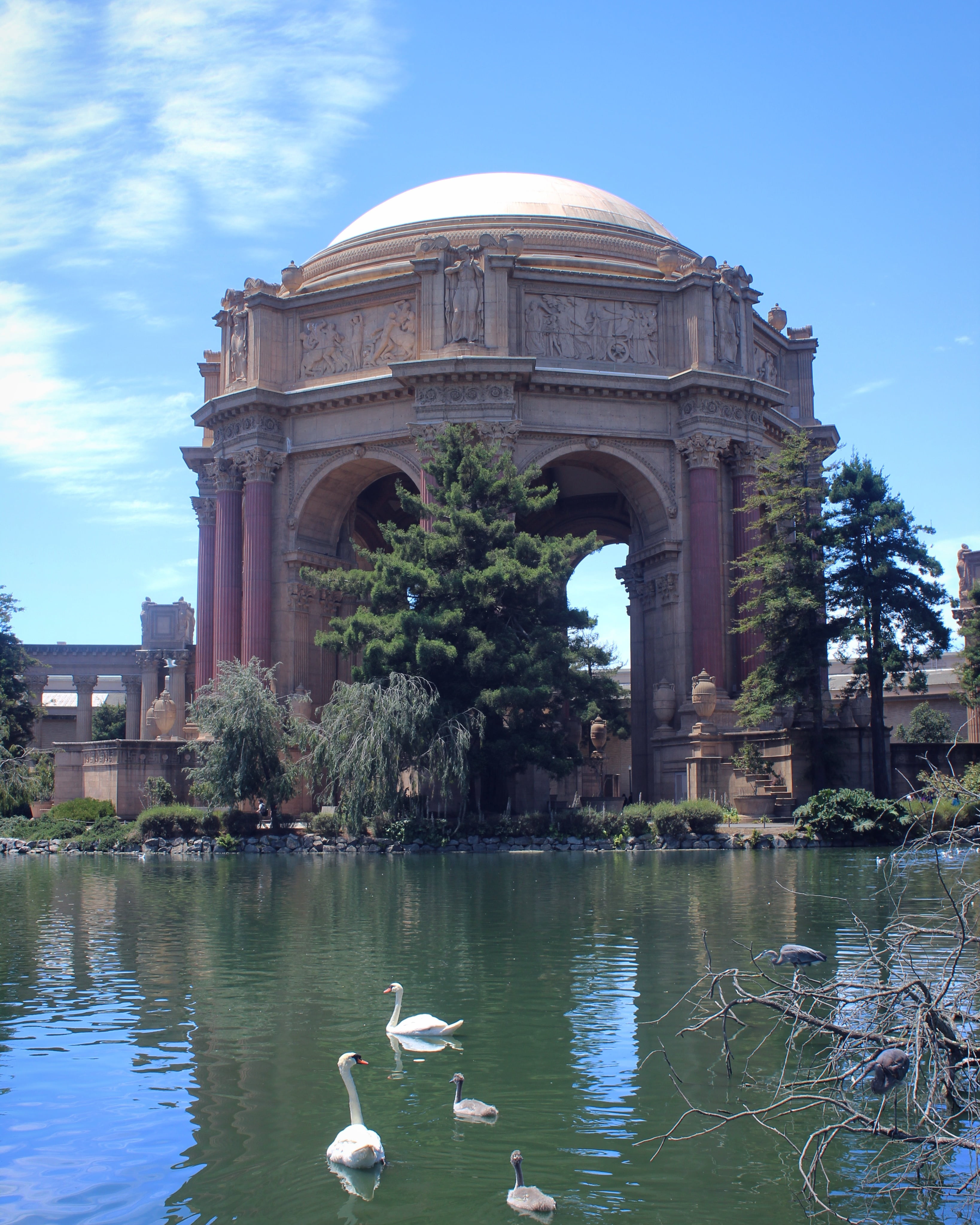 dome, day, history, san francisco, animal, palace of fine arts, sky, built structure, bird, travel destinations, no people, lake, vertebrate, animal wildlife, Phone HD Wallpaper
