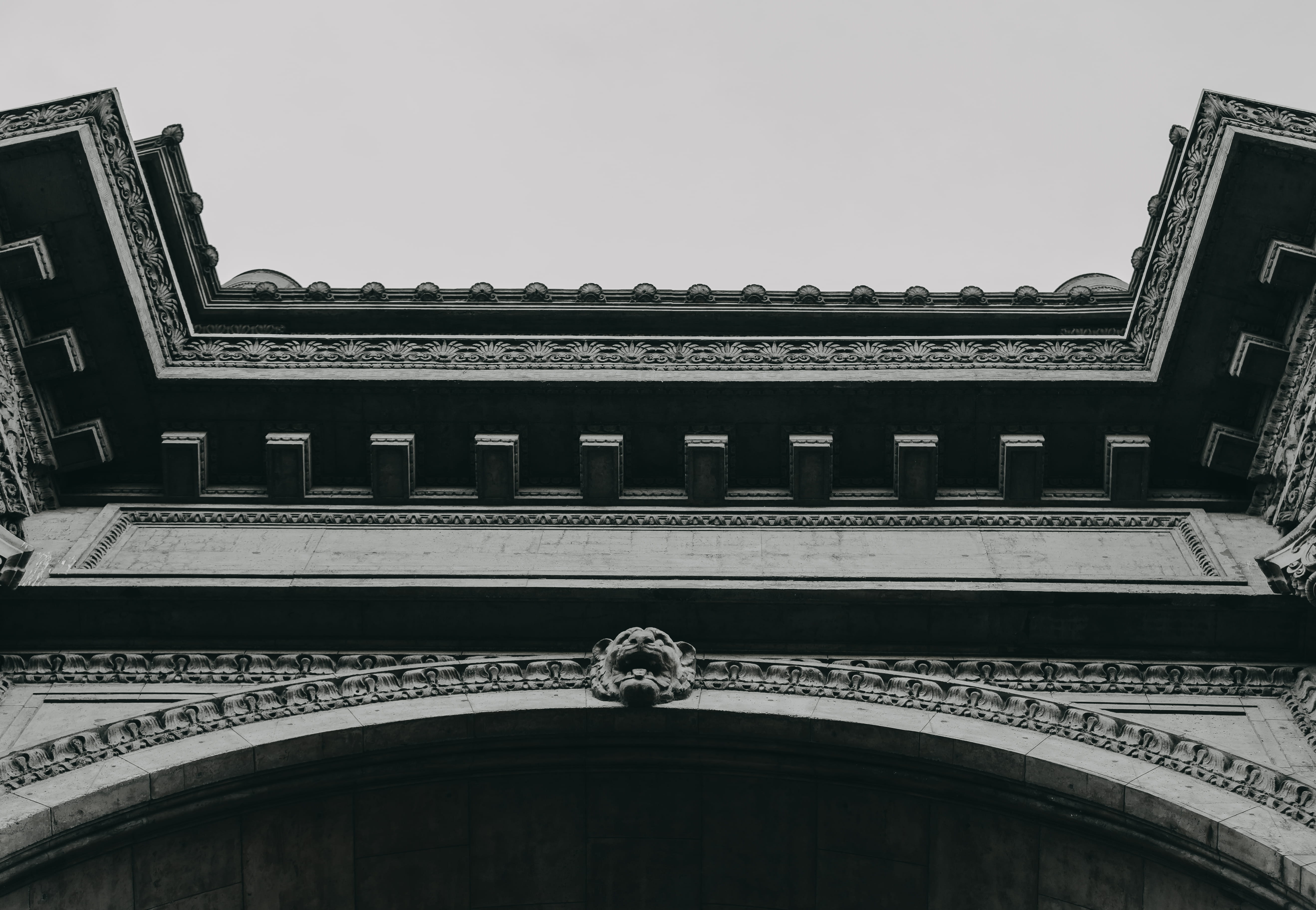 vertebrate, architectural column, no people, sky, animal themes, san francisco, architecture, clear sky, arch, bnw, built structure, palace of fine arts, HD Wallpaper