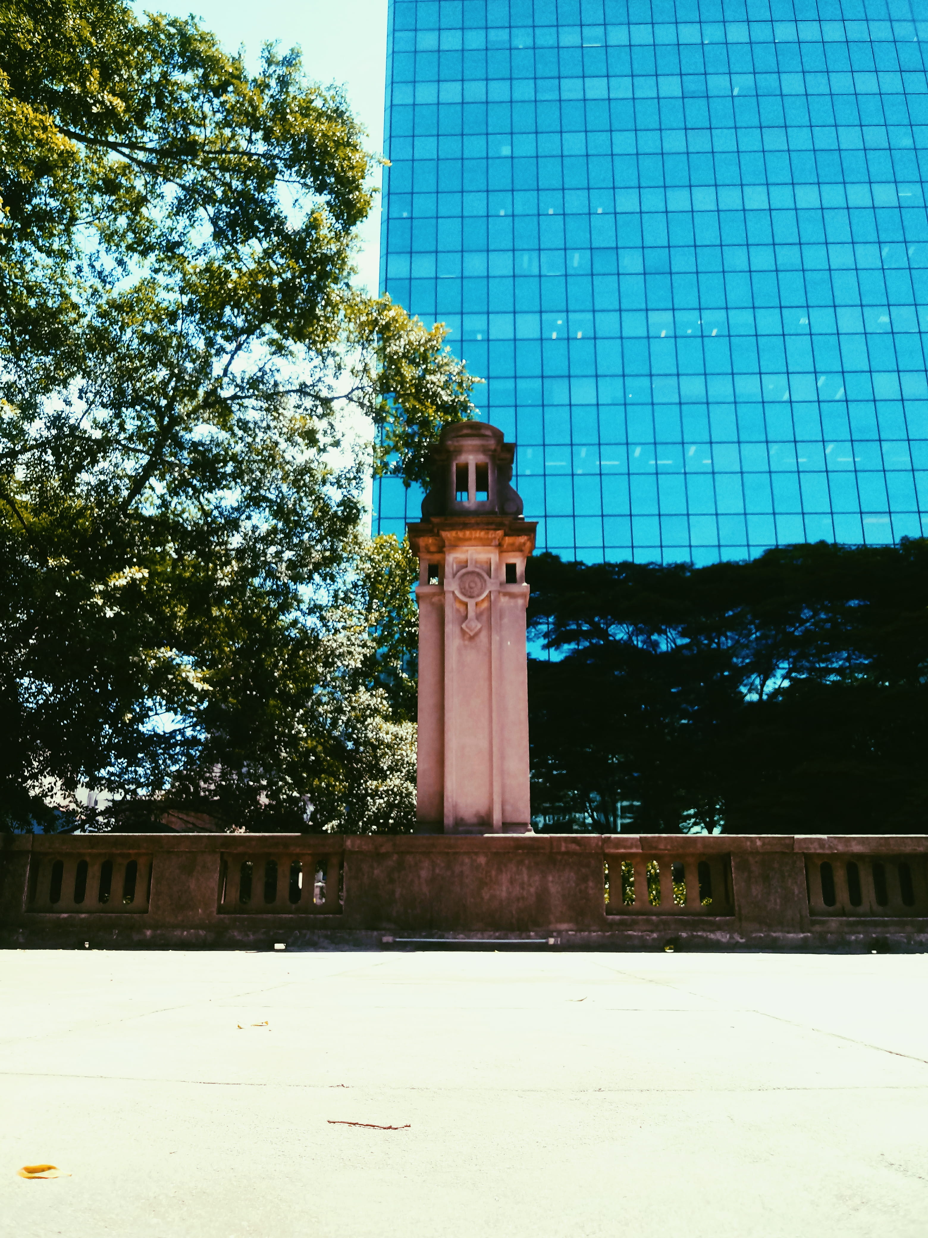 trees, casa das rosas, winter, tower, built structure, cold temperature, sp, aollco, nature, tree, city, outdoors, low angle view, security, alameda santos, Phone HD Wallpaper