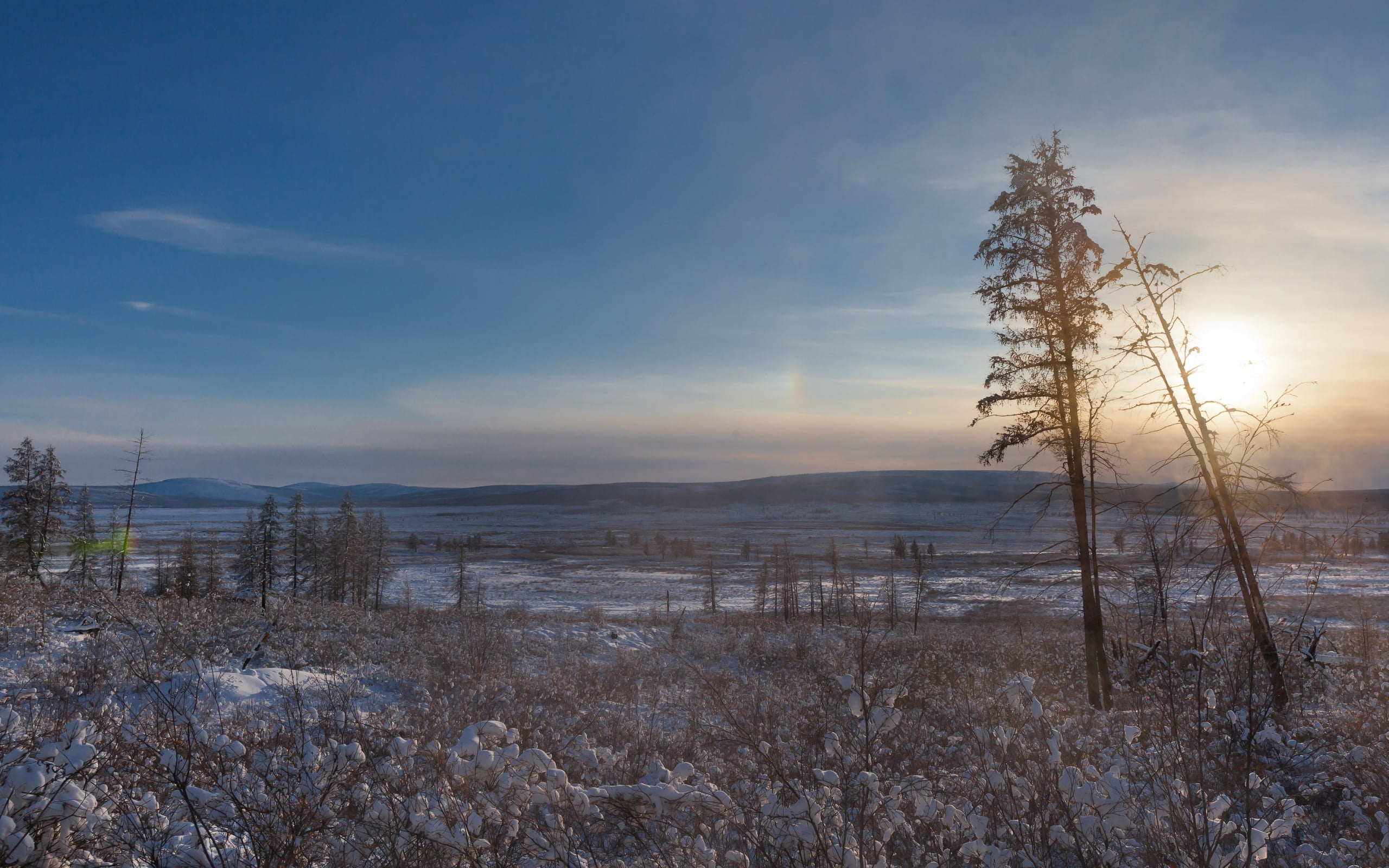 Oymyakon, beauty in nature, outdoors, land, winter, trees, tranquil scene, no people, bare tree, 2K, scenics - nature, North, dead plant, plant, nature, HD Wallpaper