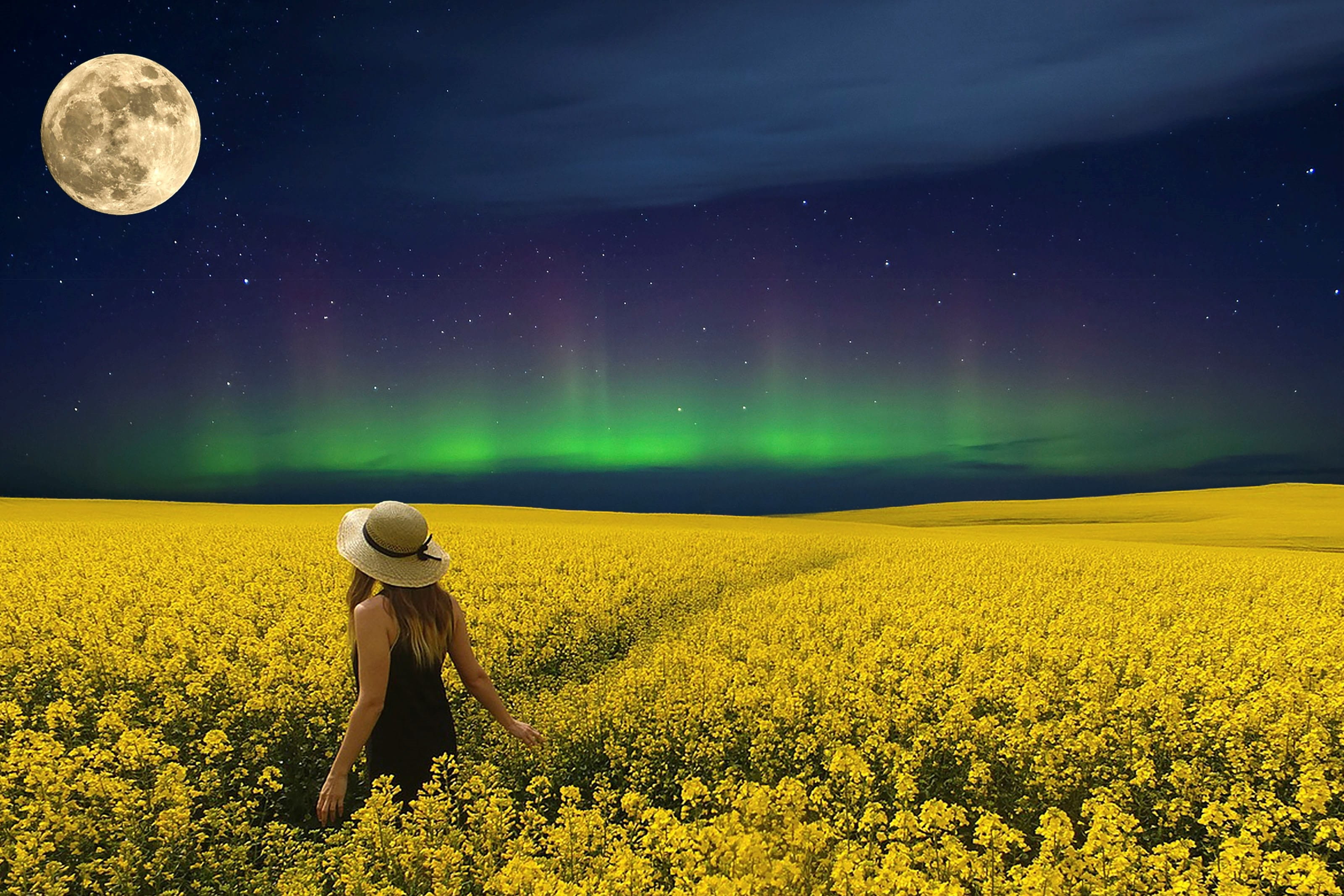 star - space, 2K, one person, moon, landscape, environment, cloud - sky, beauty in nature, adult, night, sunflower, north pole lights, dreams, land, dream world, HD Wallpaper