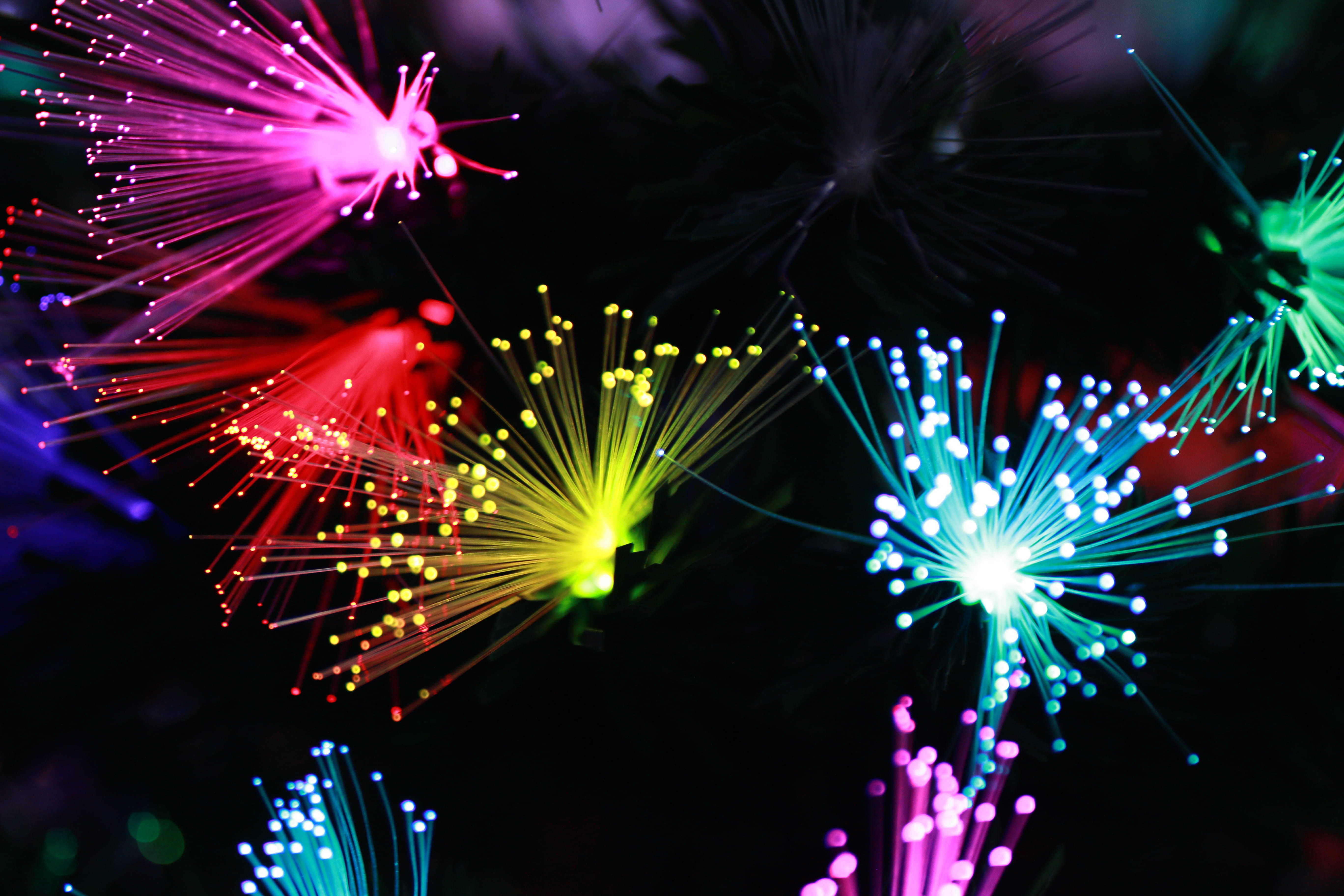 long exposure, sparks, night, light - natural phenomenon, fiber-optics, firework, santaland, purple, christmas light, outdoors, celebration, 85mm, christmas, HD Wallpaper