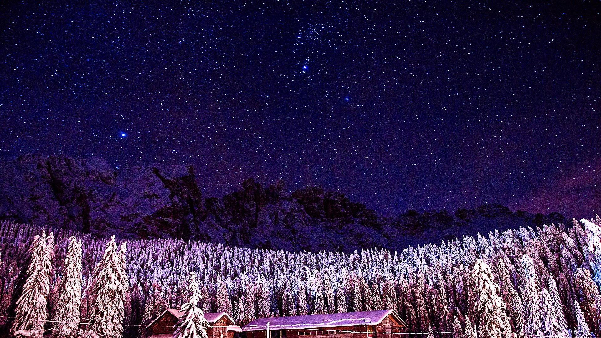 no people, flowering plant, flower, tree, space and astronomy, sky, field, nature, 1080P, purple, landscape, growth, tranquility, plant, astronomy, star - space, HD Wallpaper