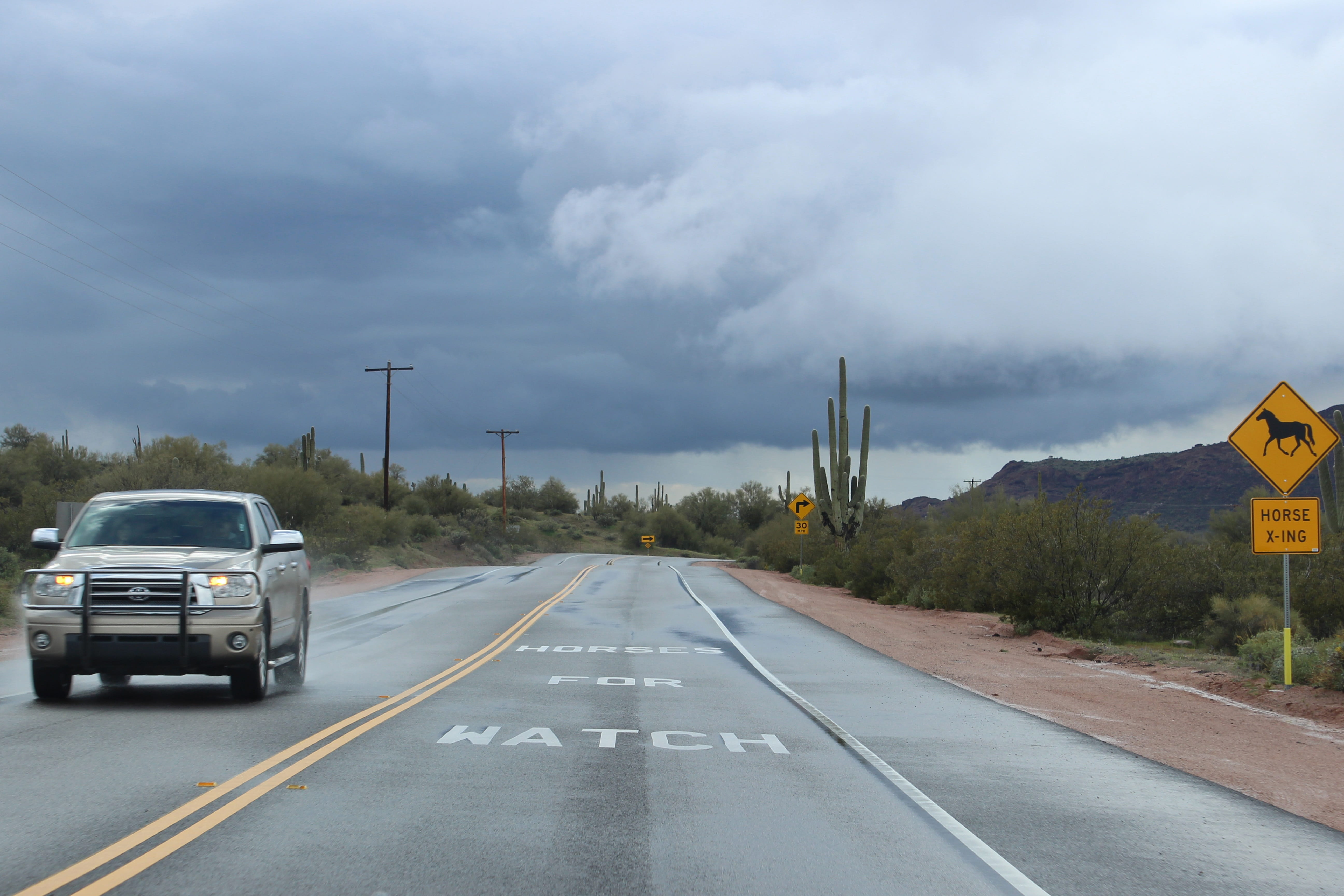 vanishing point, marking, truck, saguaro, sign, car, cactus, storm, mode of transportation, diminishing perspective, warning, horse crossing, weather, hill, HD Wallpaper