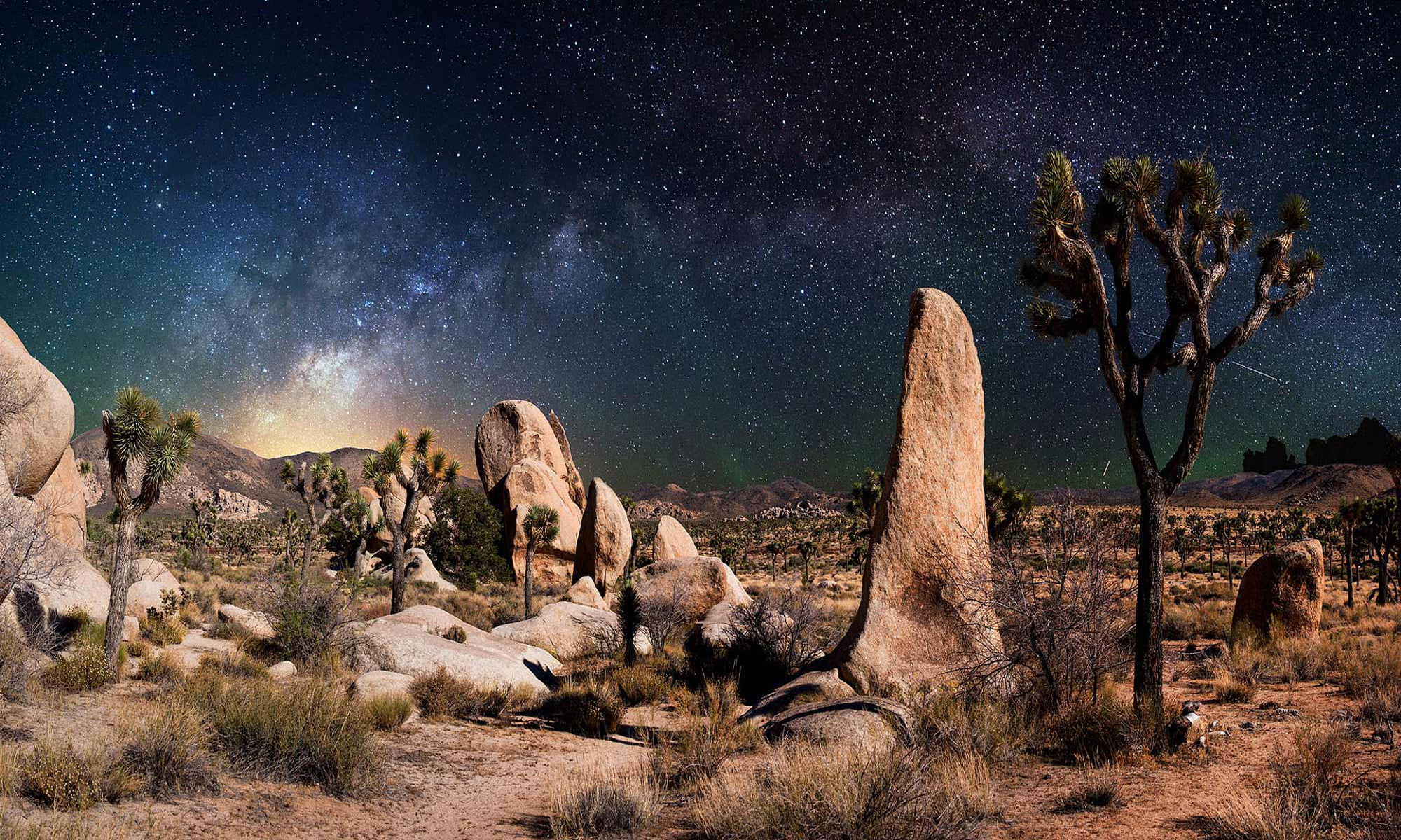 grass, star - space, tranquility, landscape, rock - object, no people, space and astronomy, rock, beauty in nature, arid climate, plants, cactus, saguaro cactus, HD Wallpaper