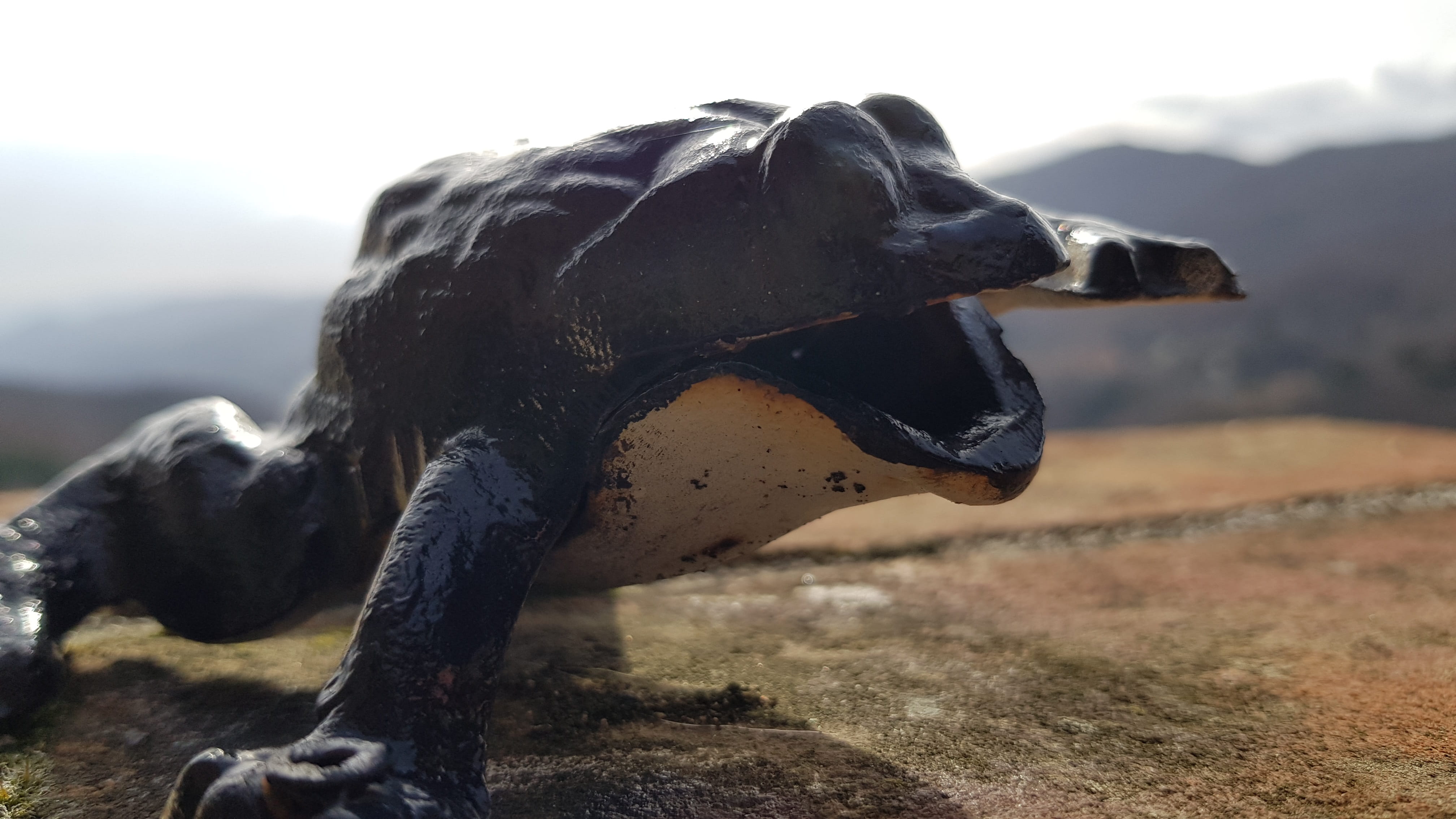 mammal, animal body part, mountain, nature, one animal, focus on foreground, figure, mouth open, no people, art and craft, sculpture, extinct, animal themes, HD Wallpaper