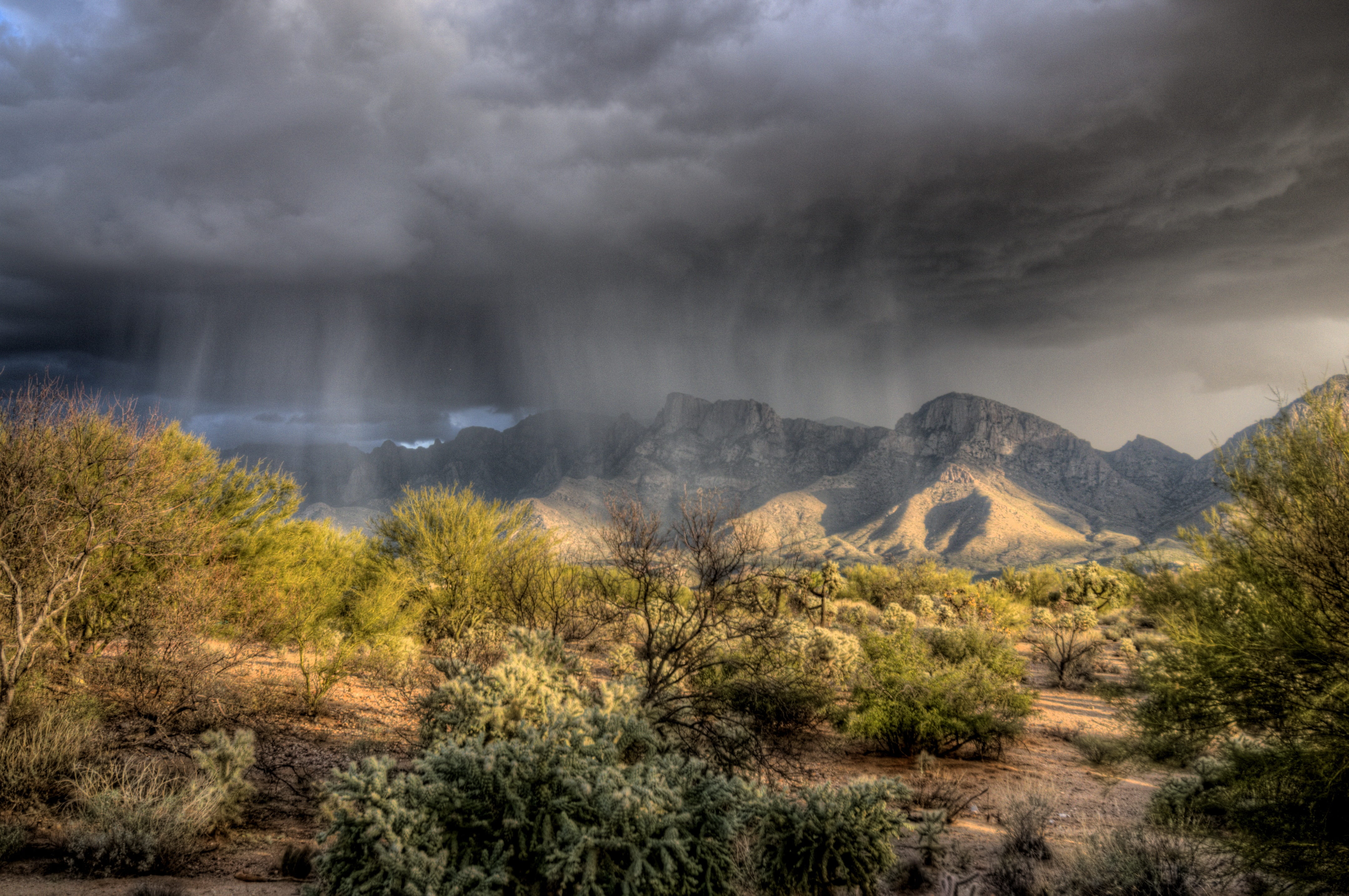 rain, sky, outdoors, land, landscape, oro valley, scenics - nature, 4K, beauty in nature, tranquility, green, storm, natural, mountain, plant, desert, HD Wallpaper