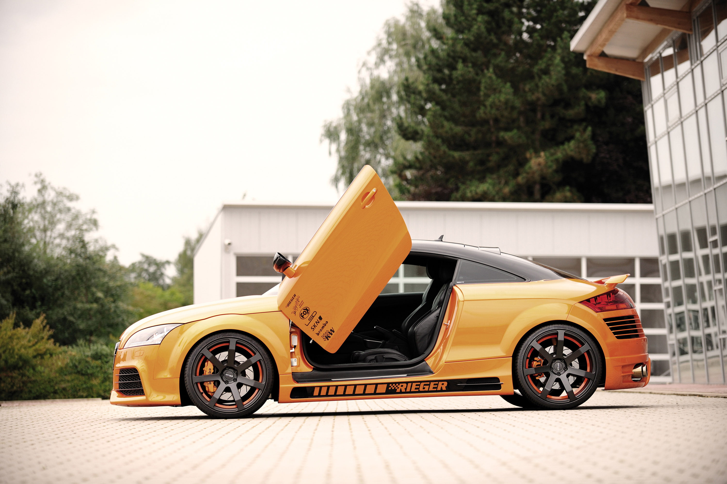 rieger, yellow, retro styled, focus on foreground, tuning, plant, mode of transportation, transportation, wheel, audi, land vehicle, no people, t t, road, HD Wallpaper