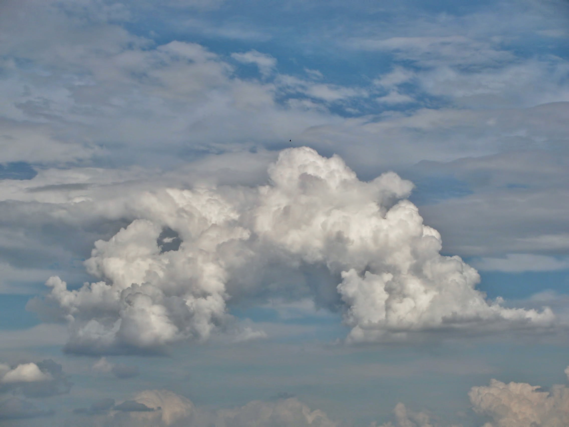 1080P, no people, nature, cloudscape, meteorology, non-urban scene, backgrounds, idyllic, white color, cumulonimbus, fluffy, colors, white, environment, HD Wallpaper