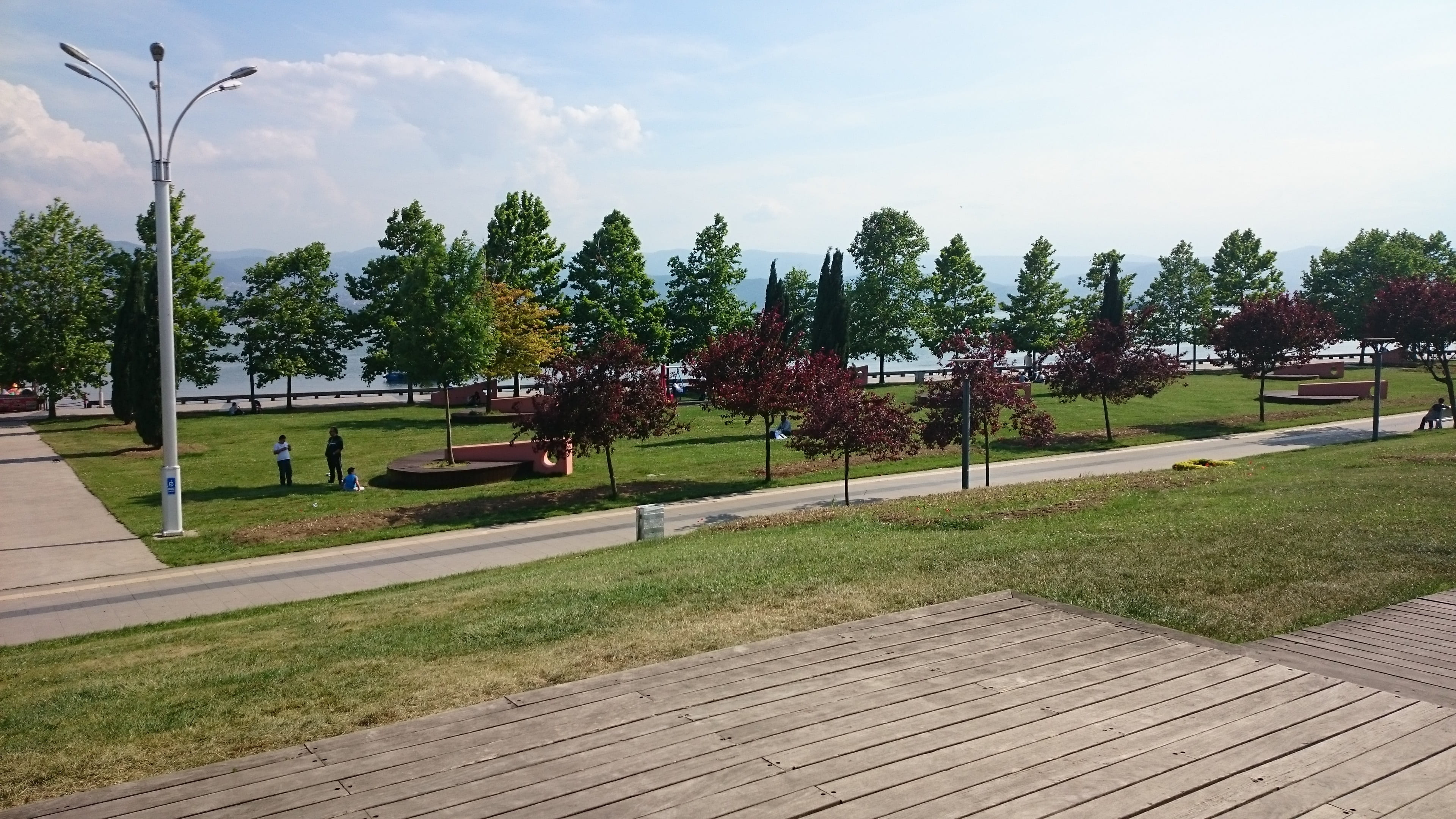 plant, trees, park bench, footpath, panoramic view, sky, tree, incidental people, 4K, tranquility, cloud - sky, nature, green color, day, growth, grass, HD Wallpaper