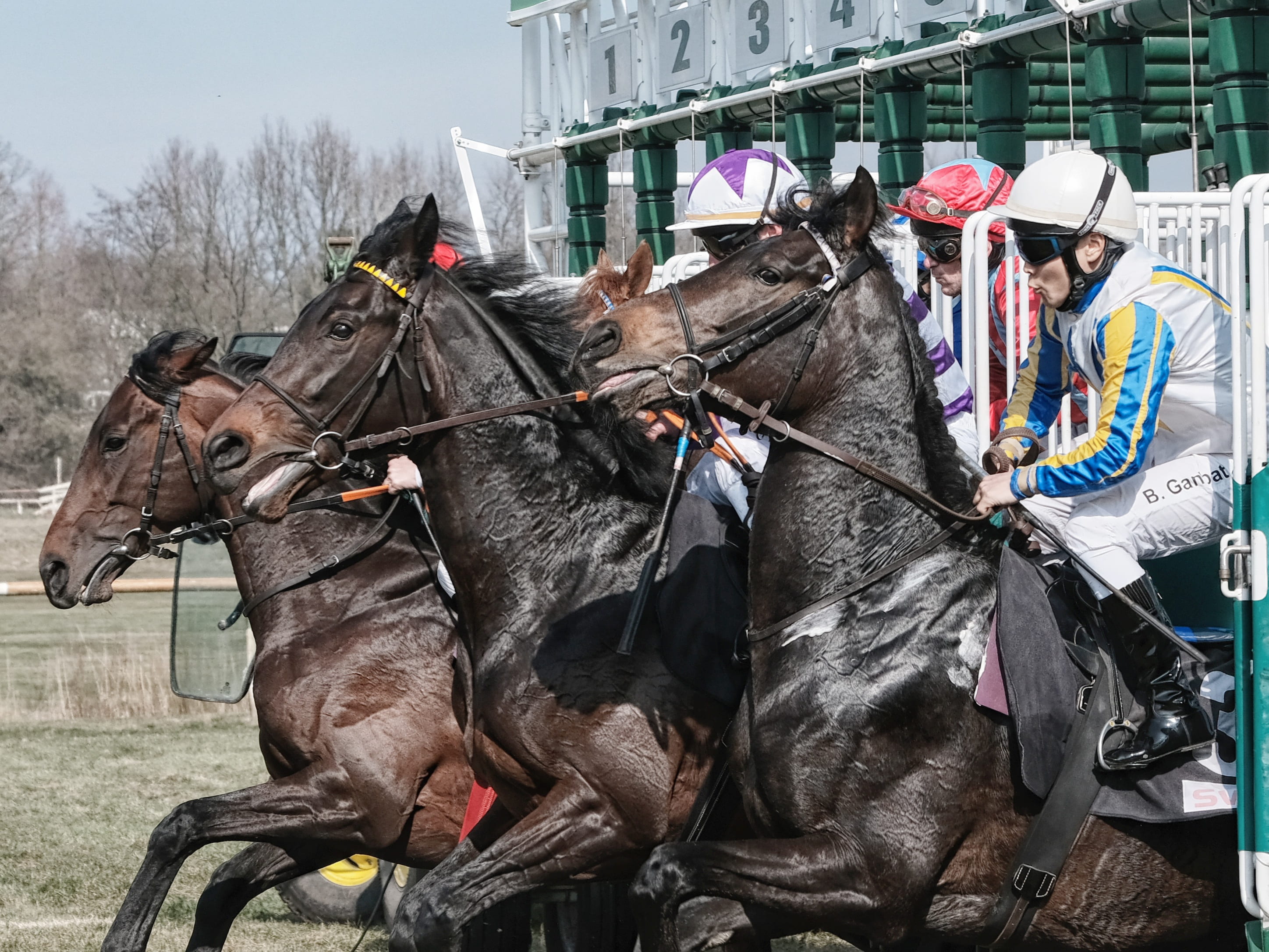 good friday, outdoors, domestic, riding, bremer rennverein, real people, herbivorous, horse racing, the day of the race, livestock, vertebrate, horse, mammal, HD Wallpaper