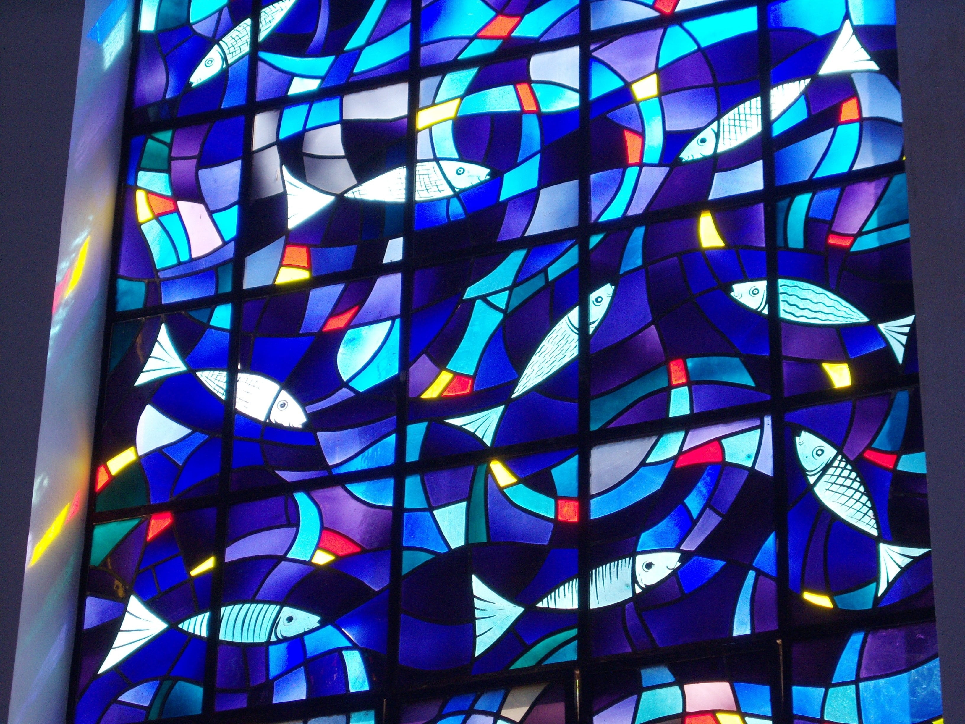stained glass, architecture and art, são carlos, full frame, architecture, shape, cathedral, design, day, fish, glass, built structure, circle, close-up, HD Wallpaper
