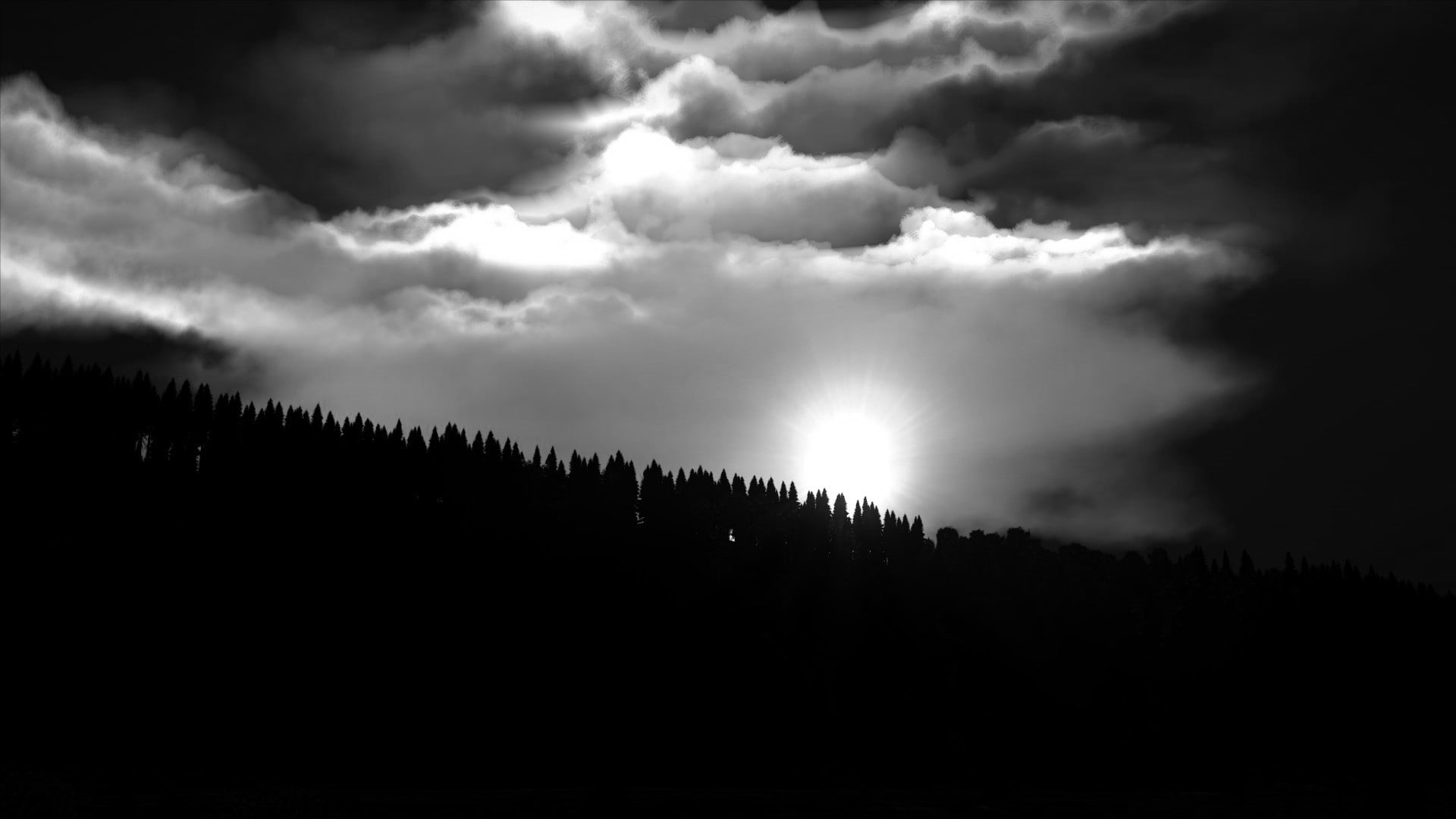 forest, tranquil scene, scenics - nature, storm, plant, environment, tranquility, tree, nature, no people, ominous, low angle view, outdoors, dark, 1080P, HD Wallpaper