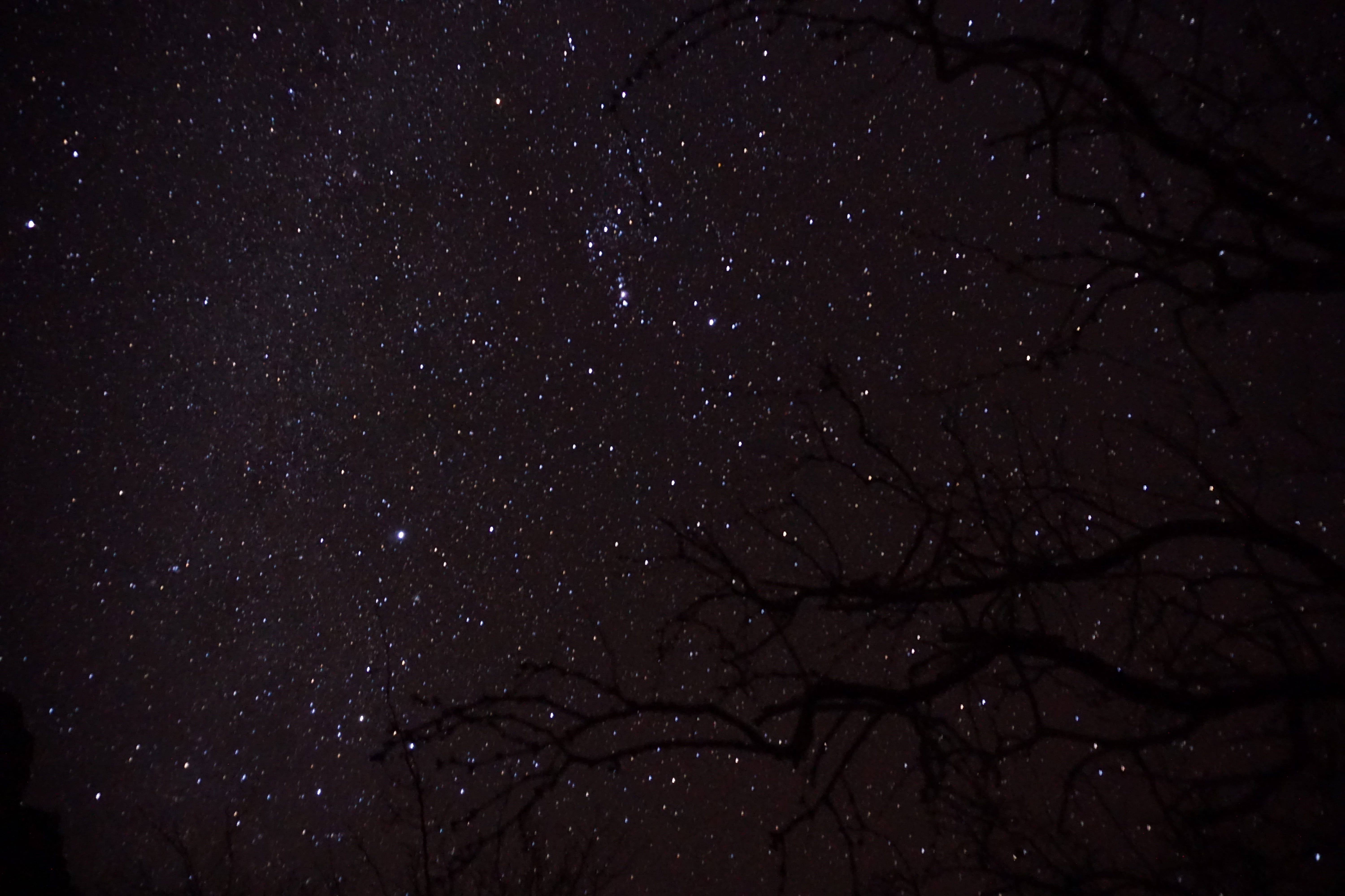 tree, galaxy, pattern, modern, stars, full frame, branch, space and astronomy, nature, night, infinity, scenics - nature, dark, wall, star - space, star field, HD Wallpaper