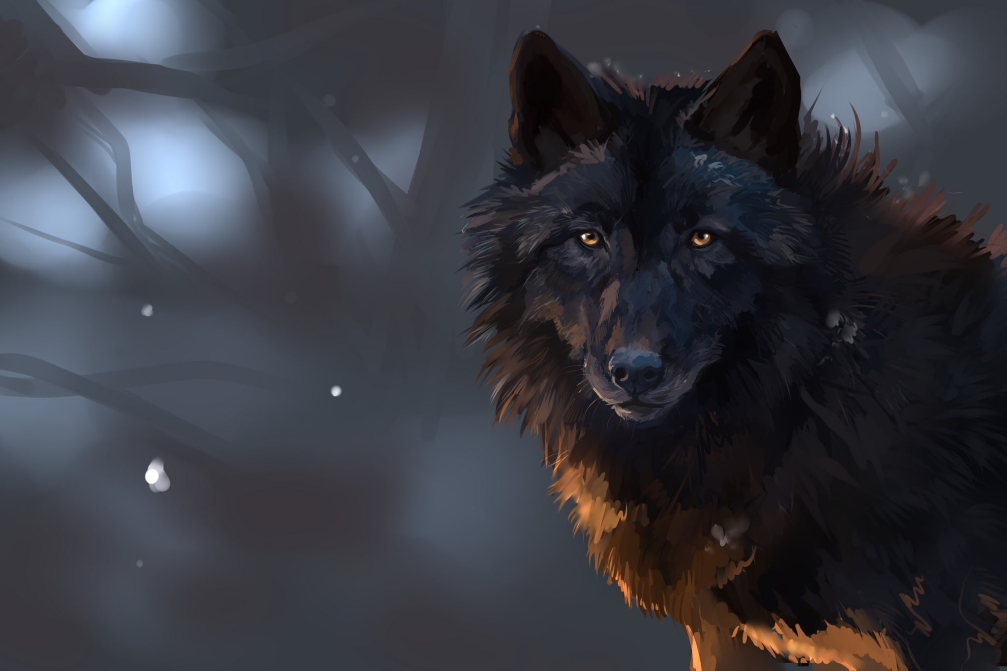 domestic animals, portrait, pets, animal head, animal, mammal, domestic, purebred dog, dark desktop background pictures, 1080P, focus on foreground, one animal, HD Wallpaper